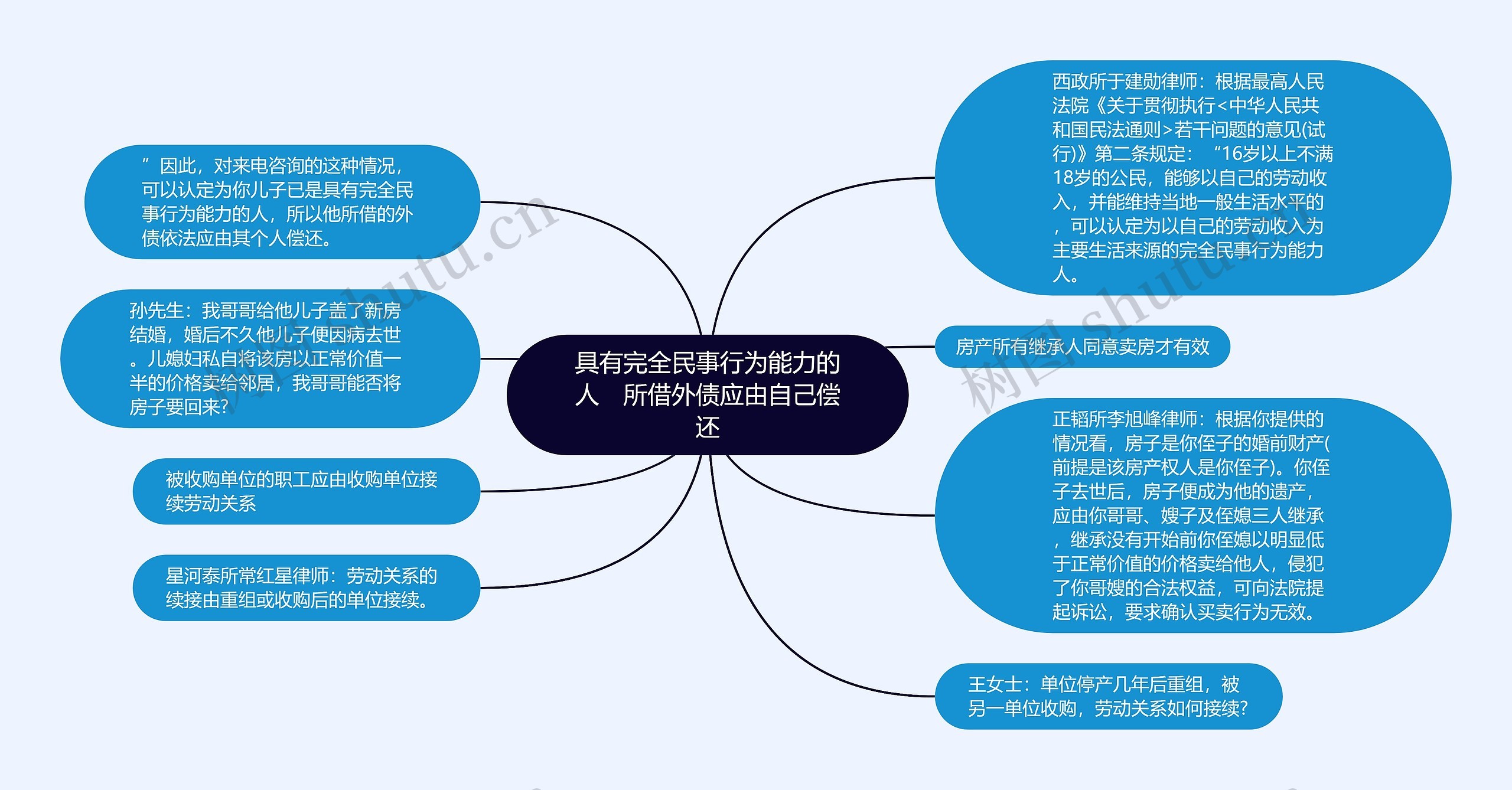 具有完全民事行为能力的人　所借外债应由自己偿还思维导图