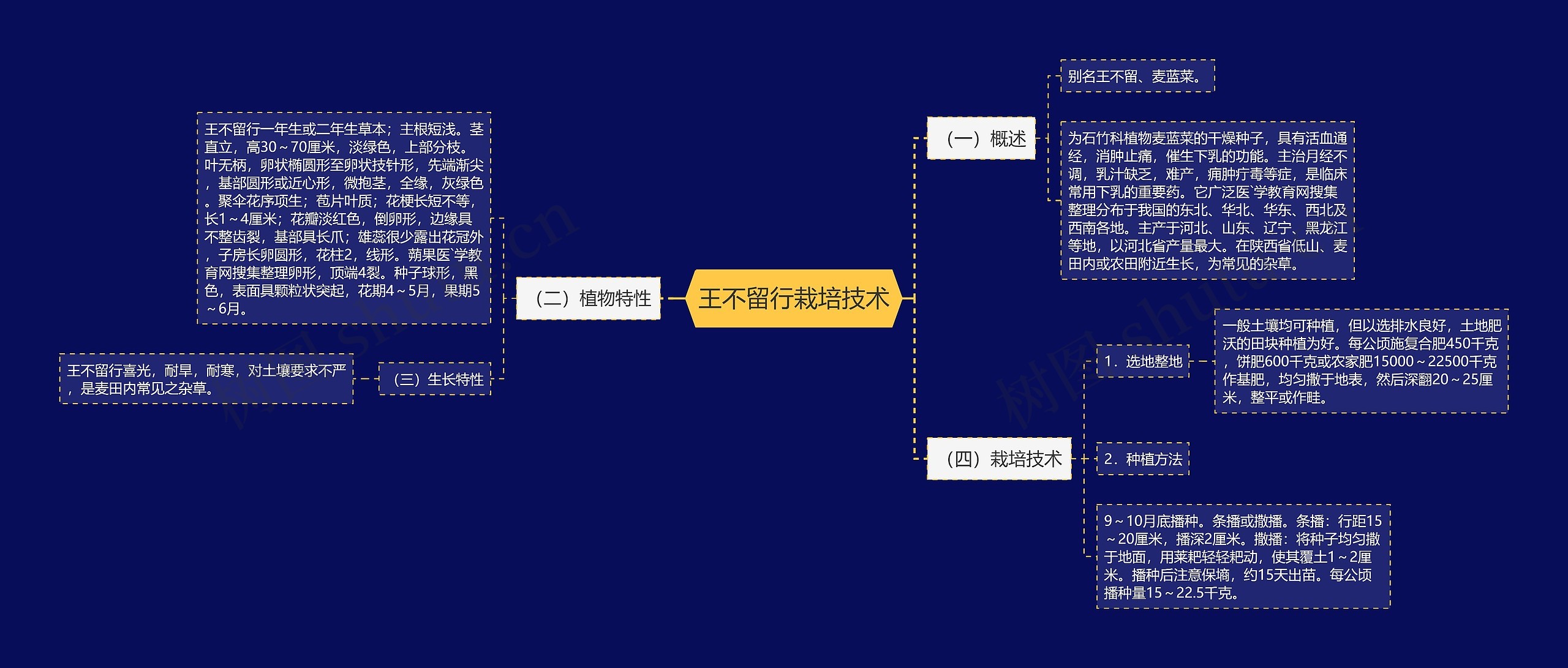 王不留行栽培技术