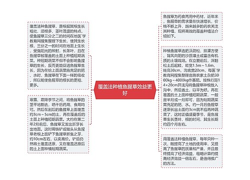 覆盖法种植鱼腥草效益更好