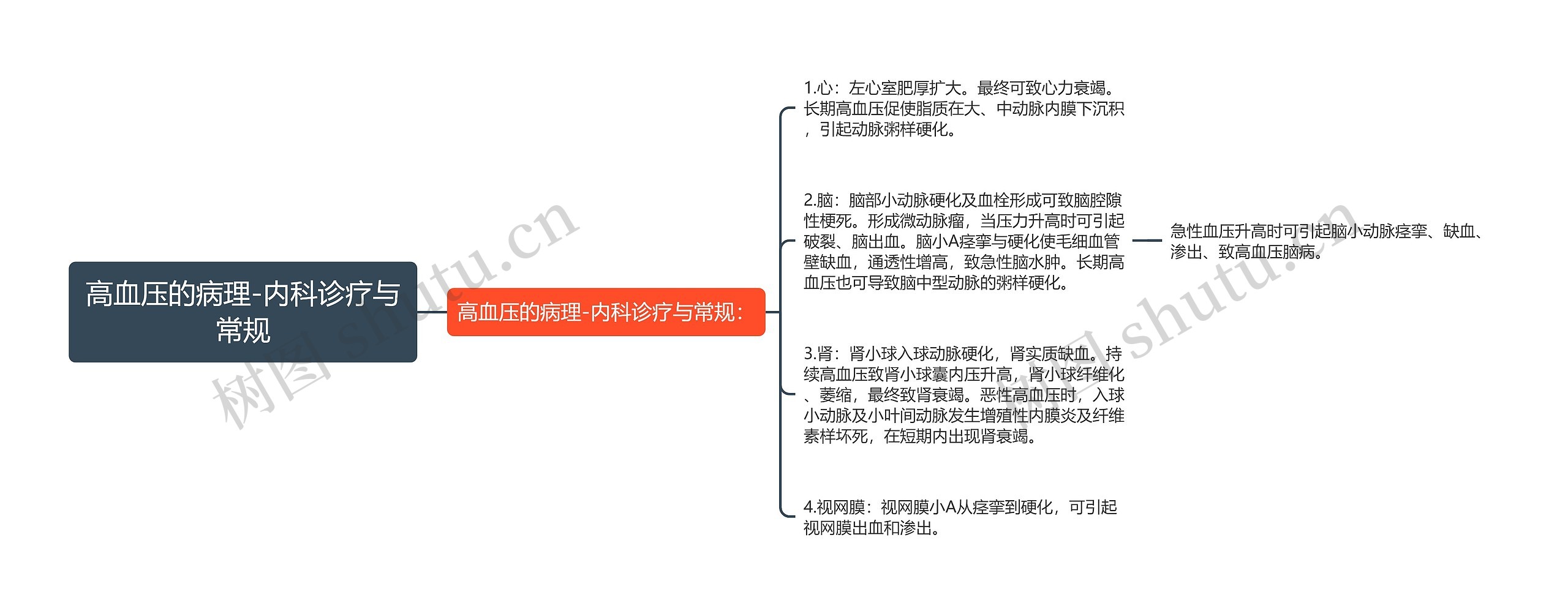 高血压的病理-内科诊疗与常规