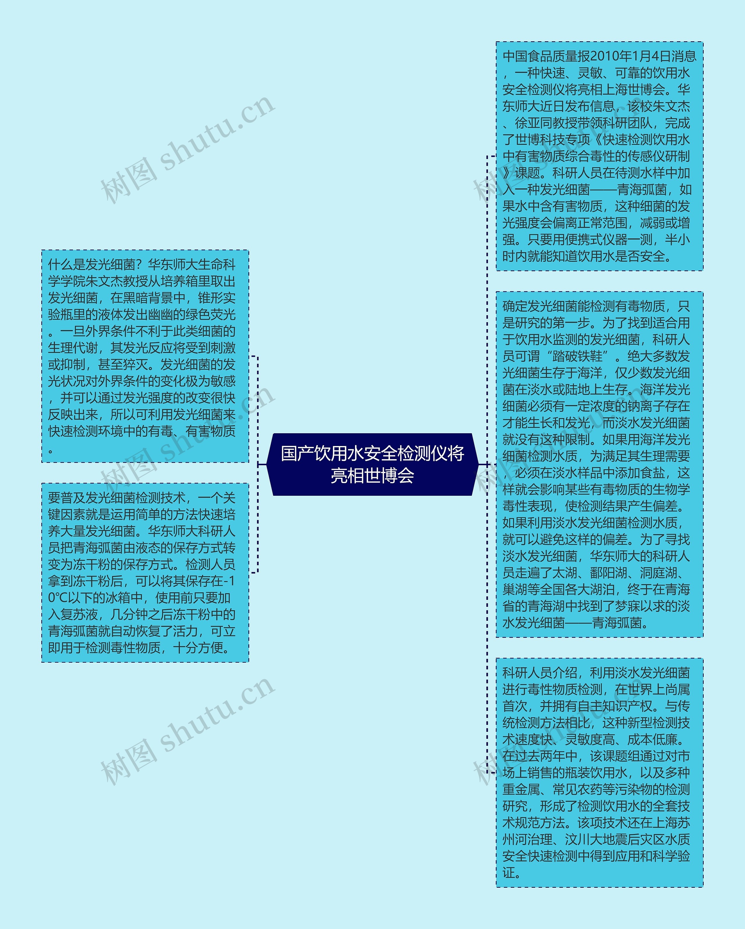 国产饮用水安全检测仪将亮相世博会思维导图