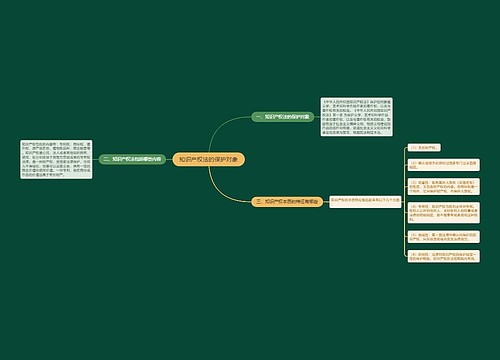 知识产权法的保护对象