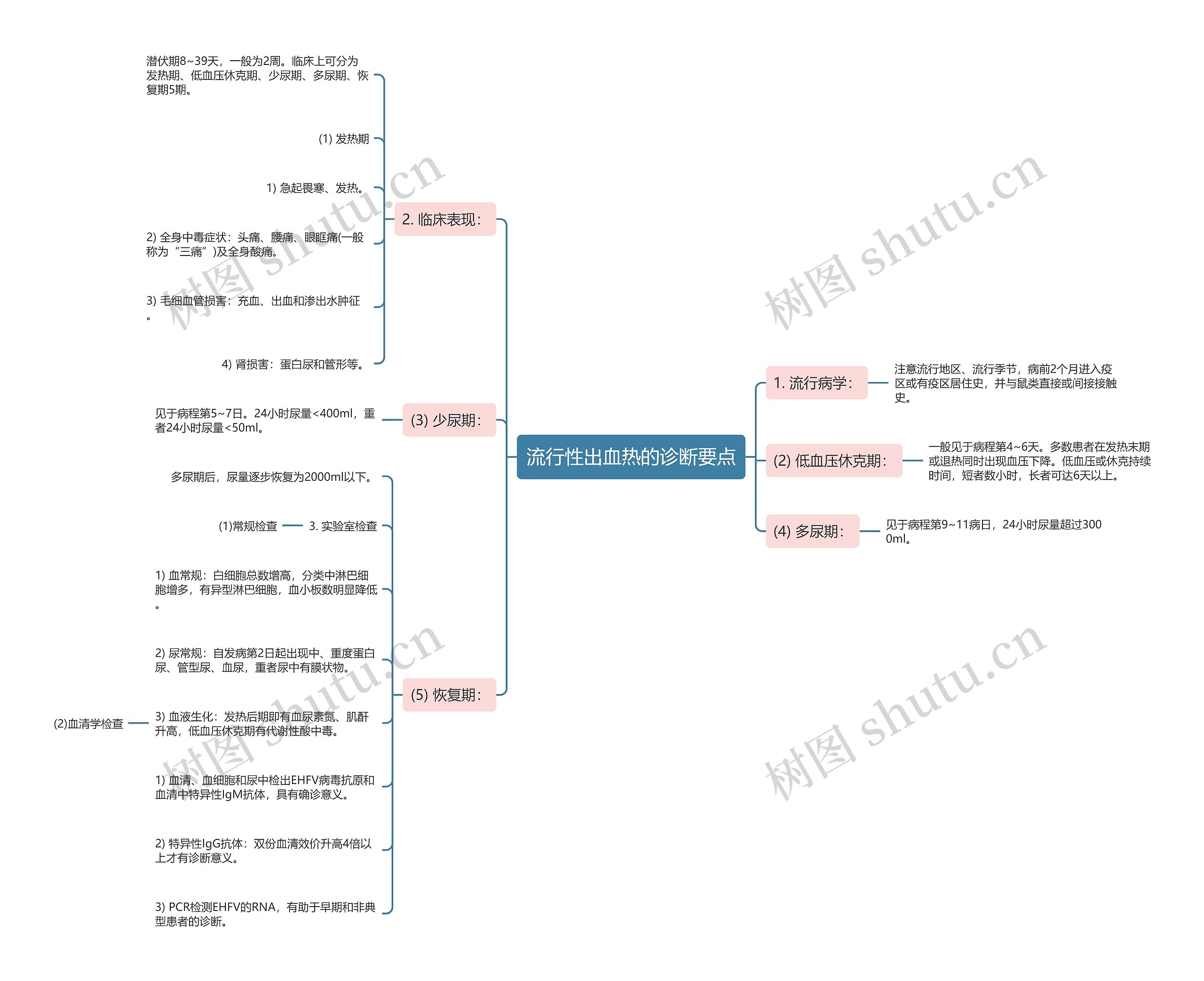 流行性出血热的诊断要点思维导图