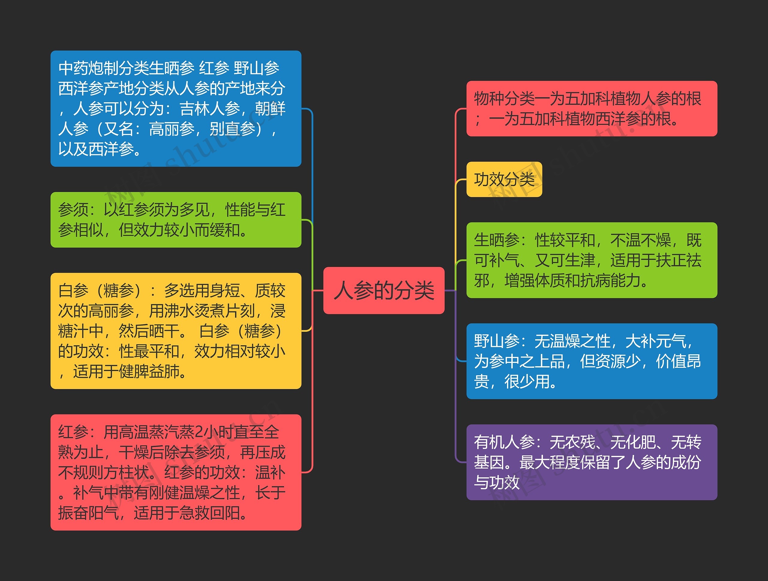 人参的分类思维导图