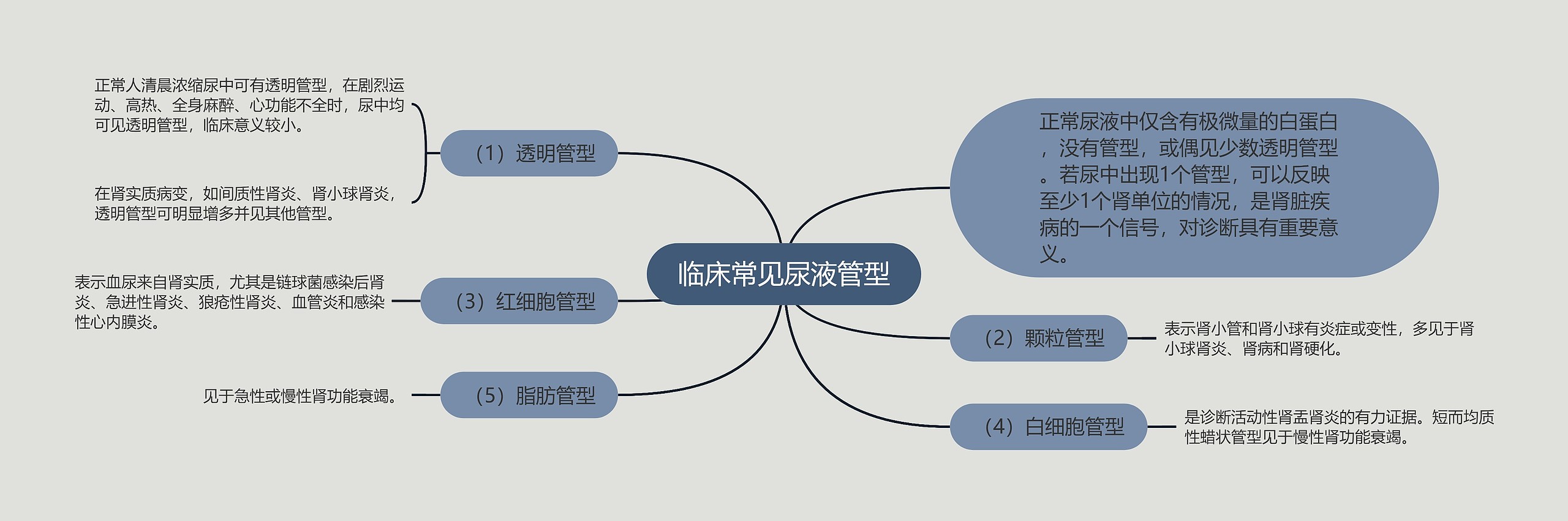 临床常见尿液管型思维导图