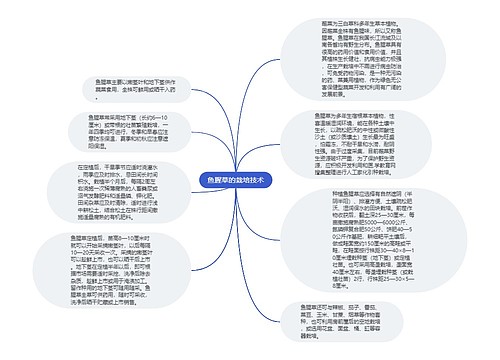 鱼腥草的栽培技术