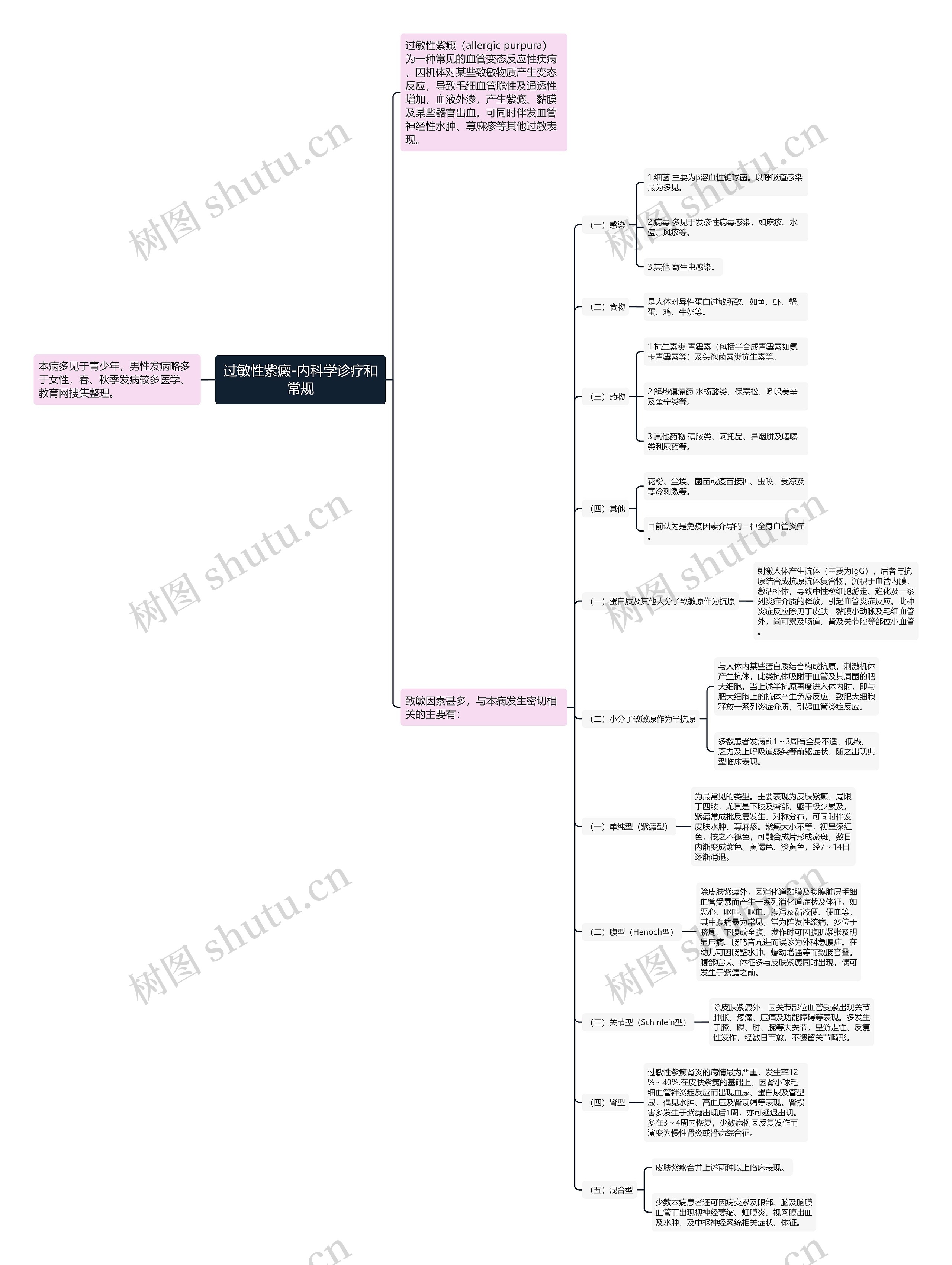 过敏性紫癜-内科学诊疗和常规思维导图