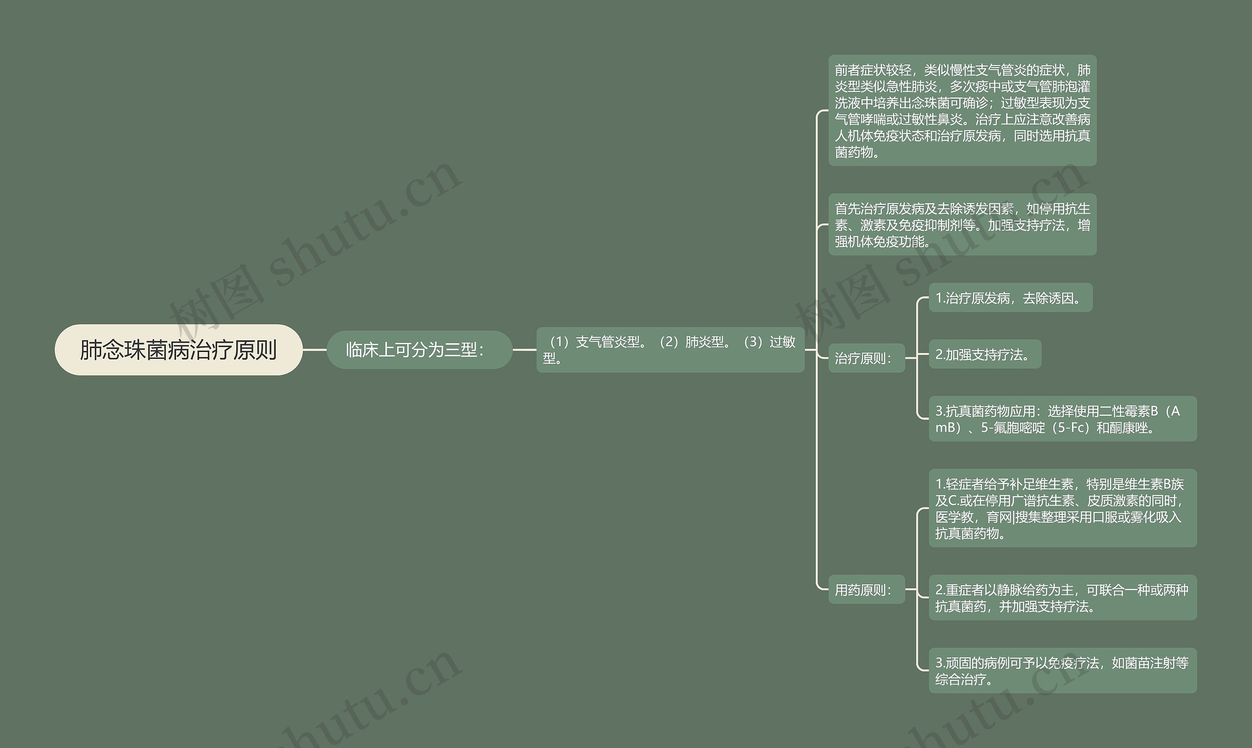 肺念珠菌病治疗原则思维导图