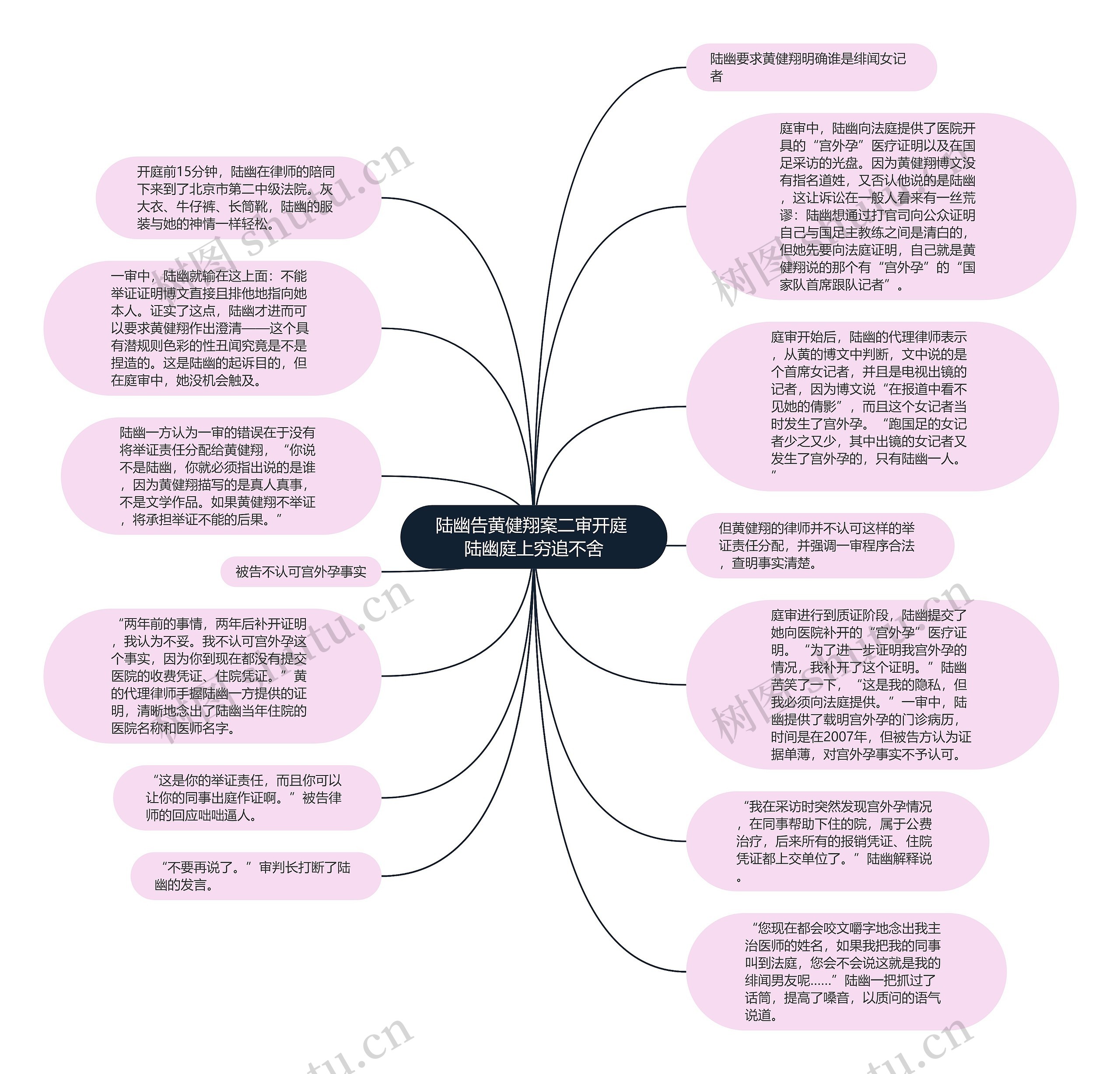 陆幽告黄健翔案二审开庭 陆幽庭上穷追不舍