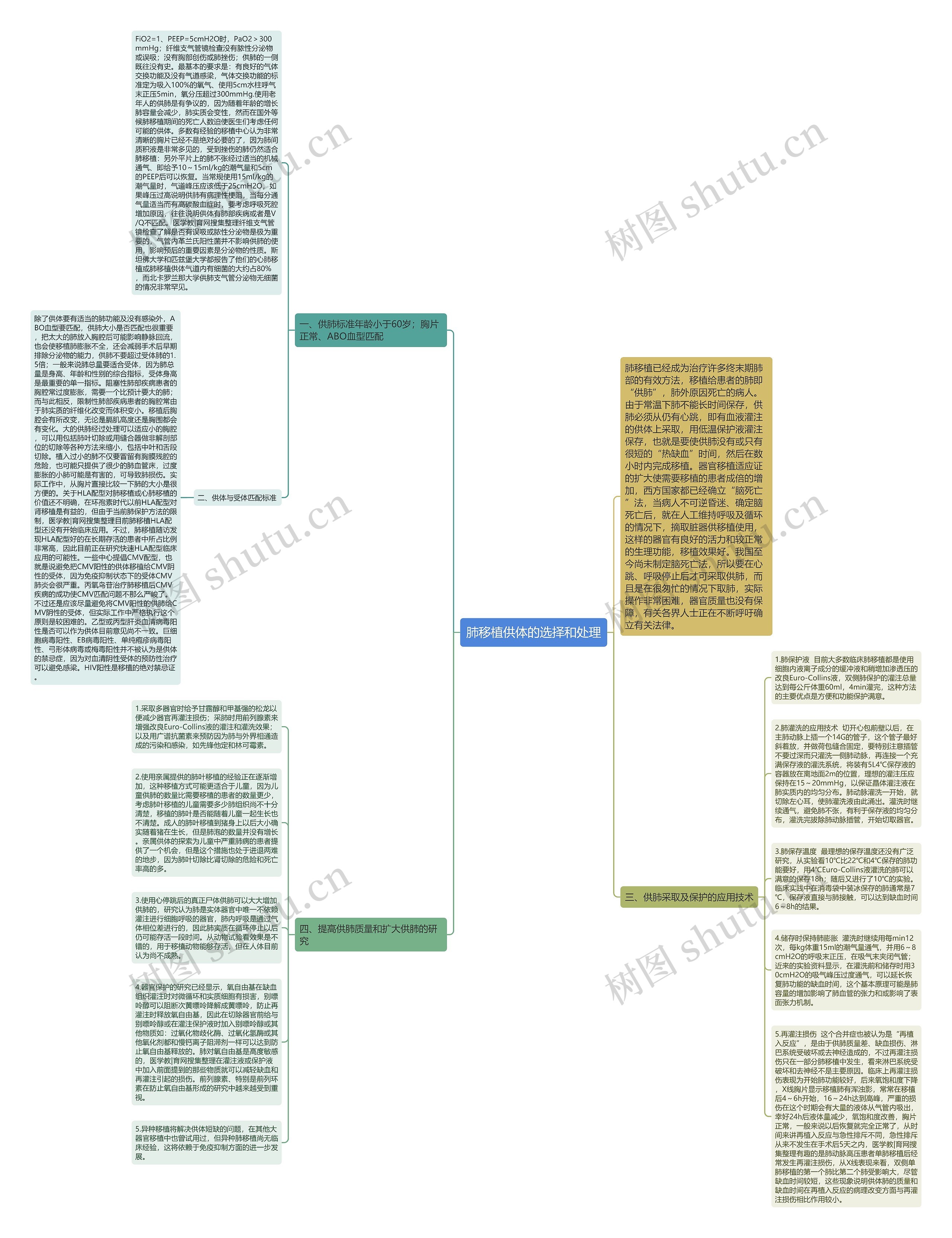 肺移植供体的选择和处理思维导图