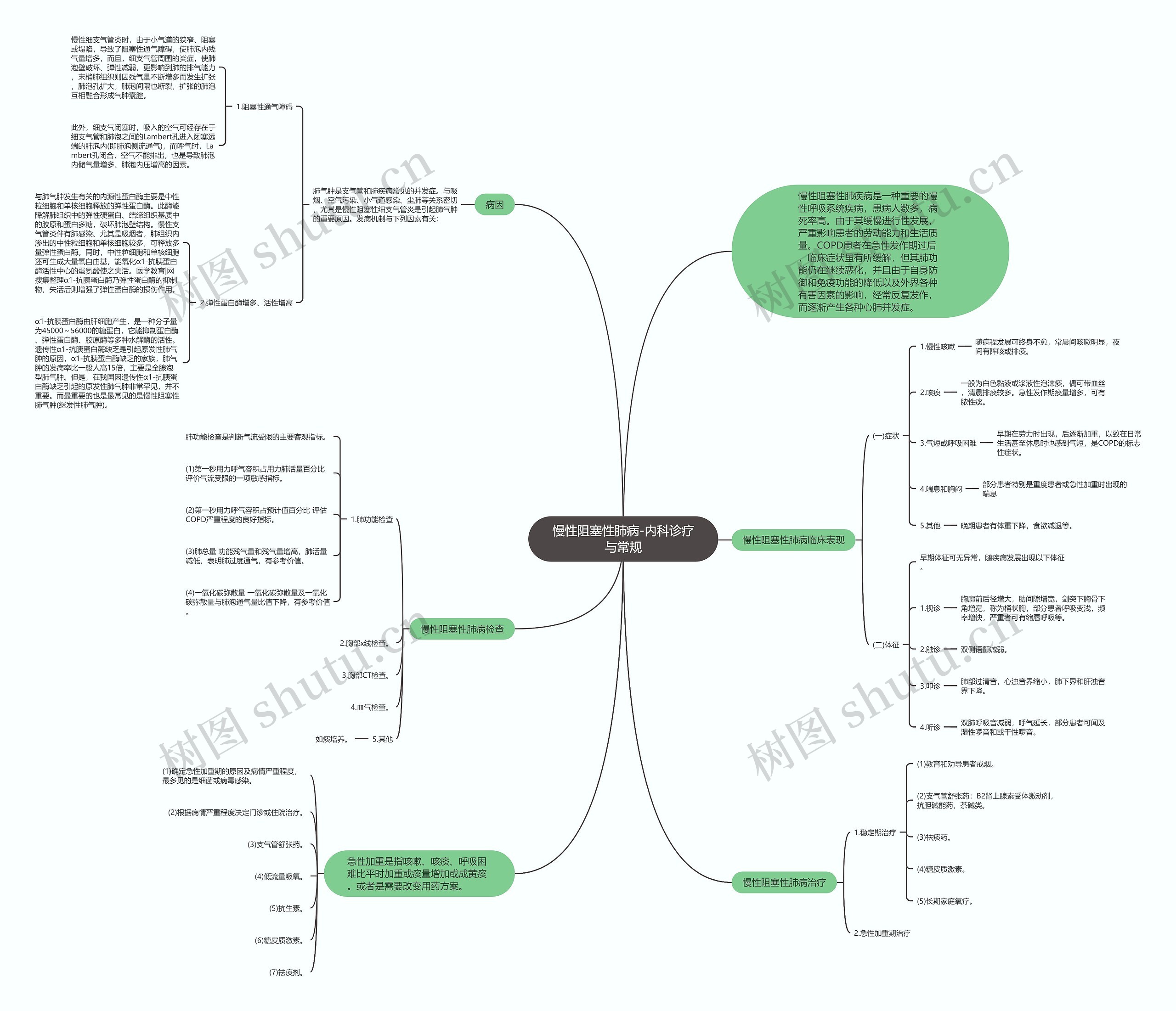 慢性阻塞性肺病-内科诊疗与常规 慢性阻塞性肺病-内科诊疗与常规