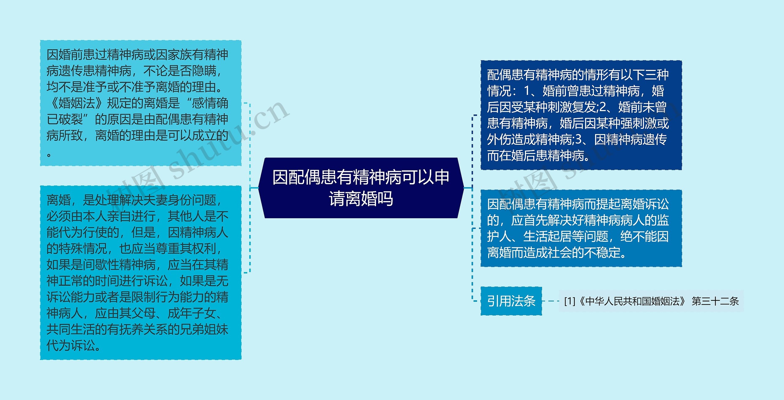 因配偶患有精神病可以申请离婚吗思维导图