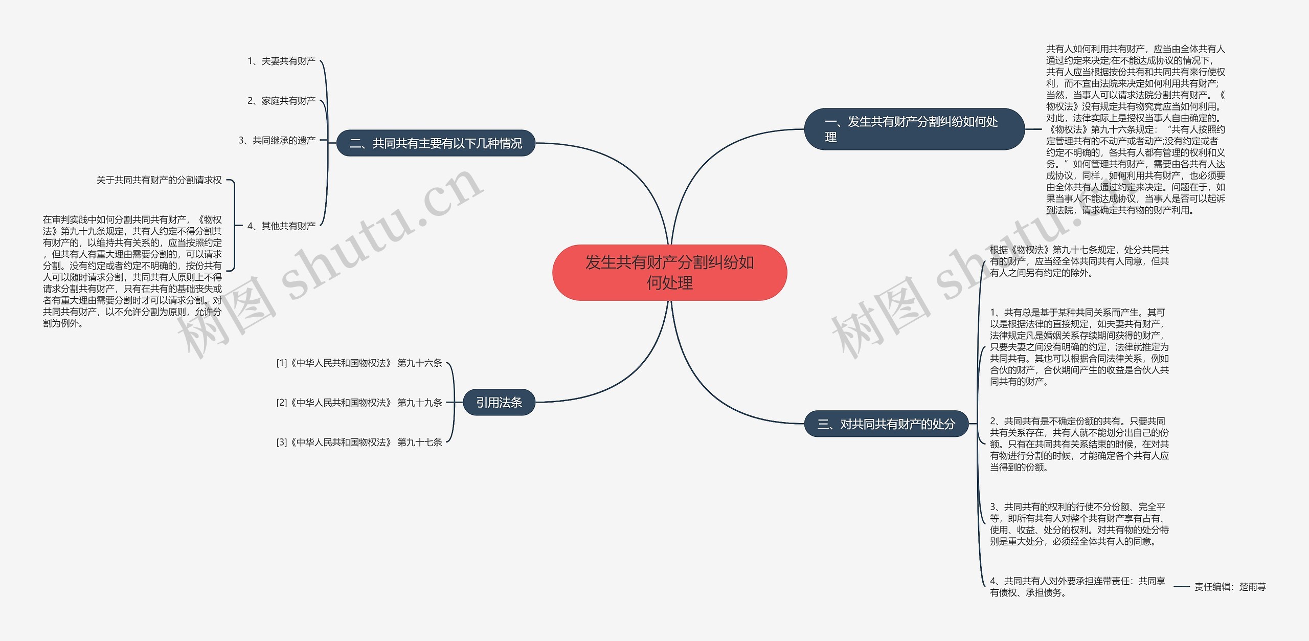 发生共有财产分割纠纷如何处理思维导图