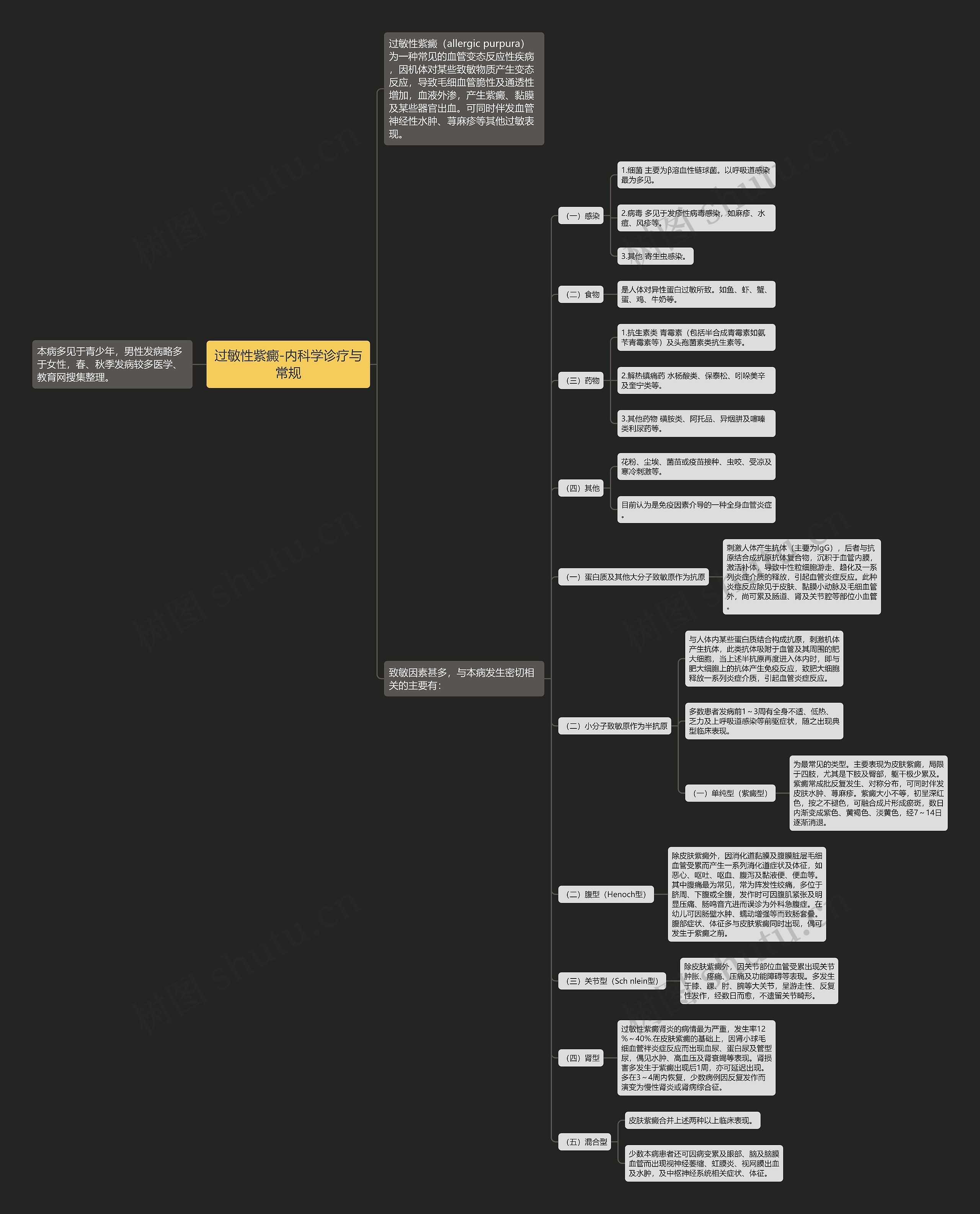 过敏性紫癜-内科学诊疗与常规思维导图