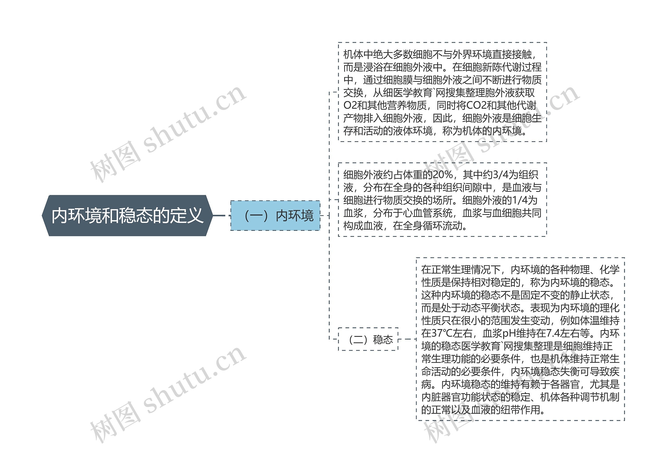 内环境和稳态的定义思维导图