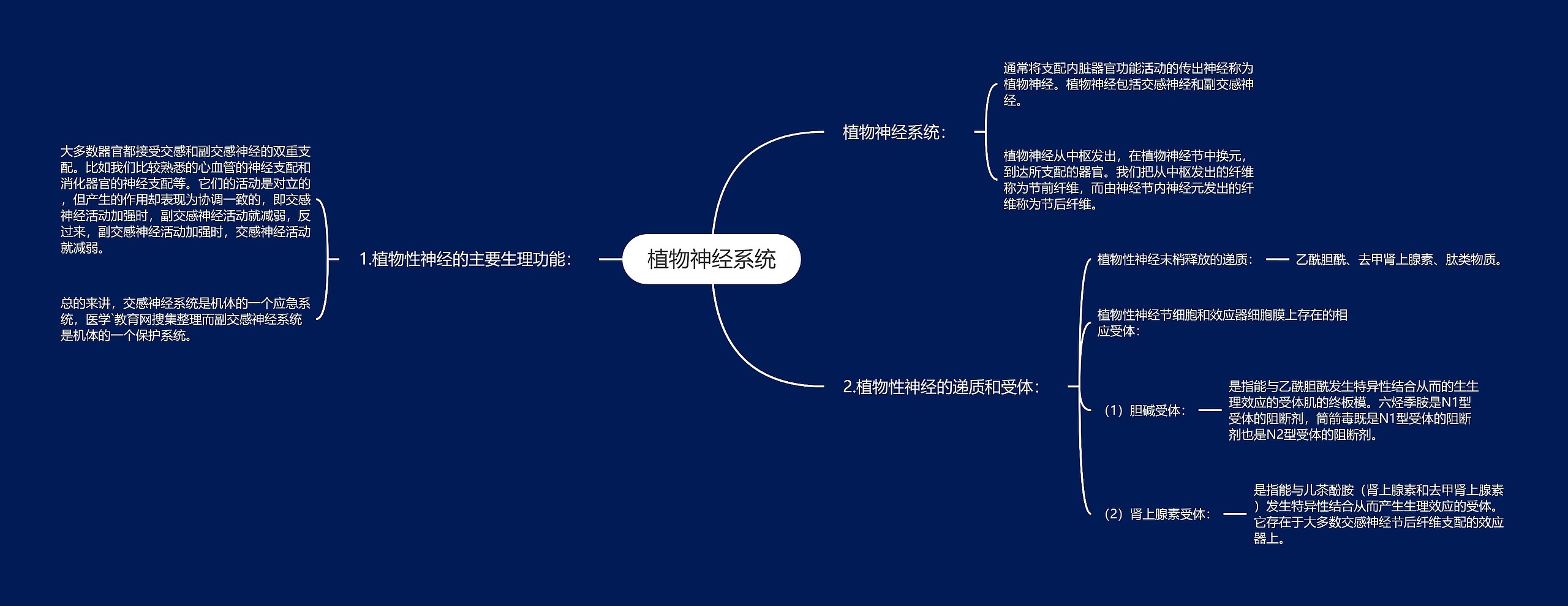 植物神经系统思维导图