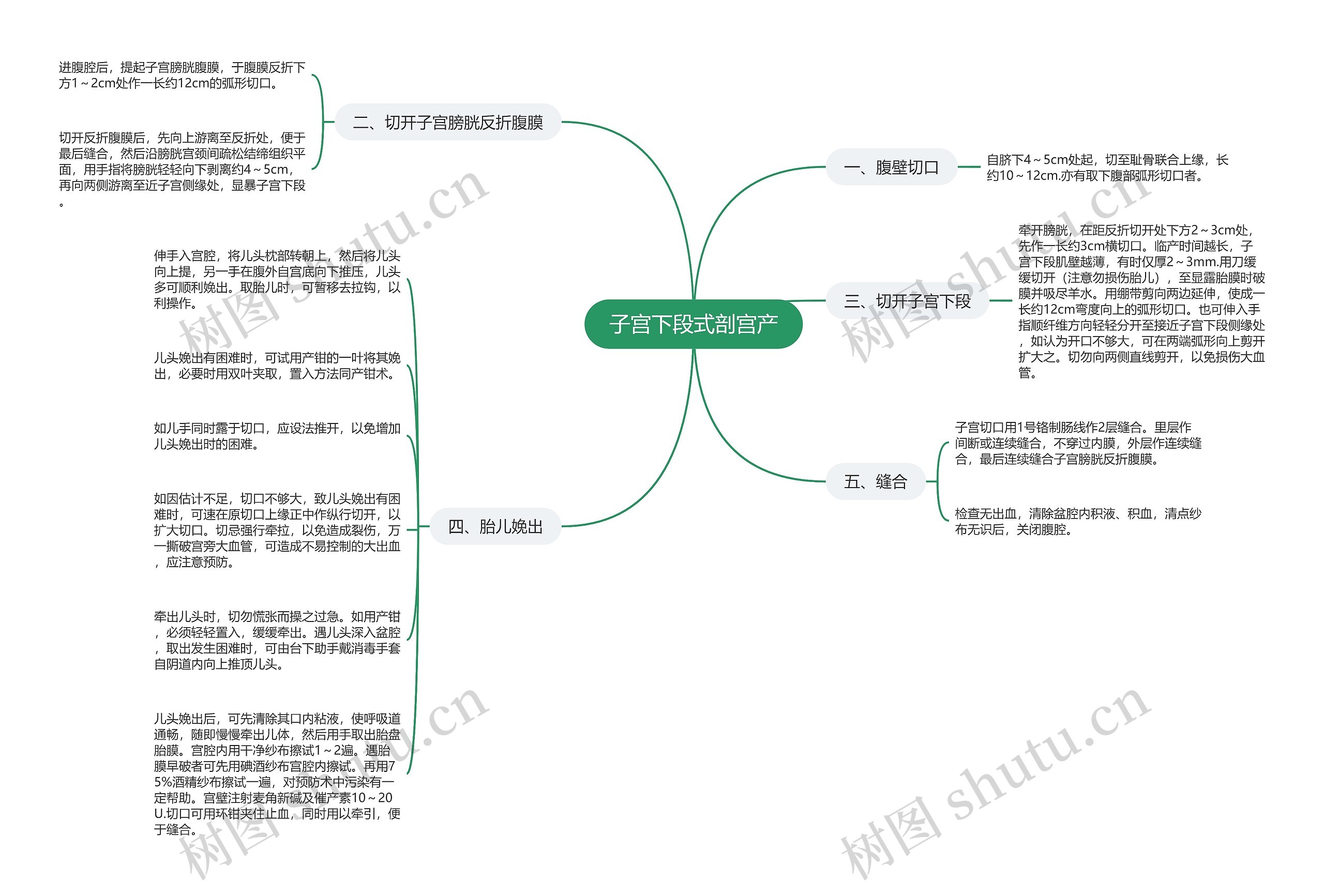 子宫下段式剖宫产思维导图