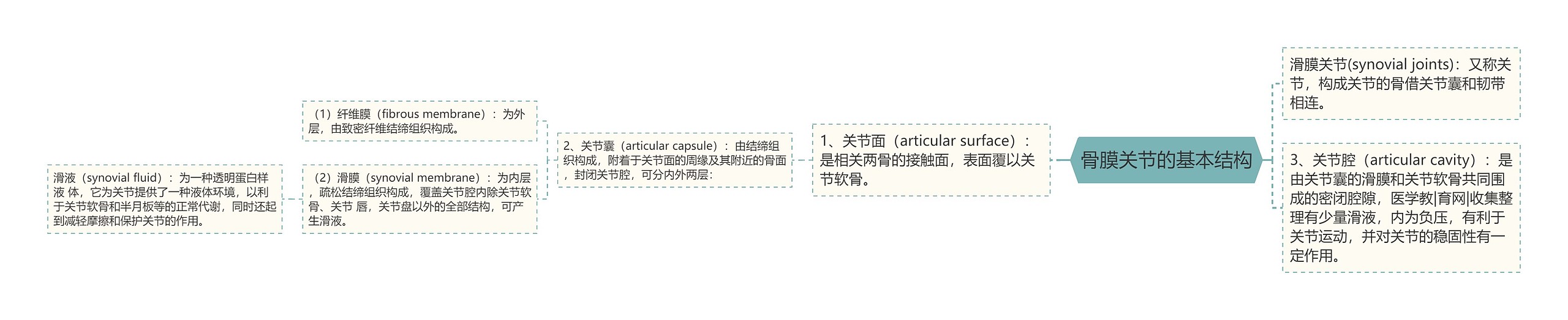 骨膜关节的基本结构思维导图