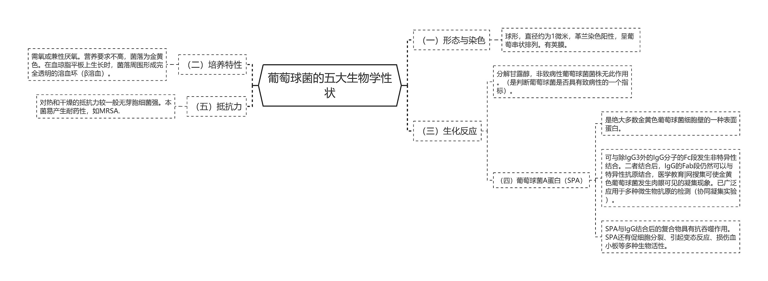 葡萄球菌的五大生物学性状思维导图