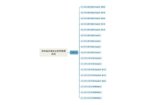 吉林省乡镇企业负担管理办法