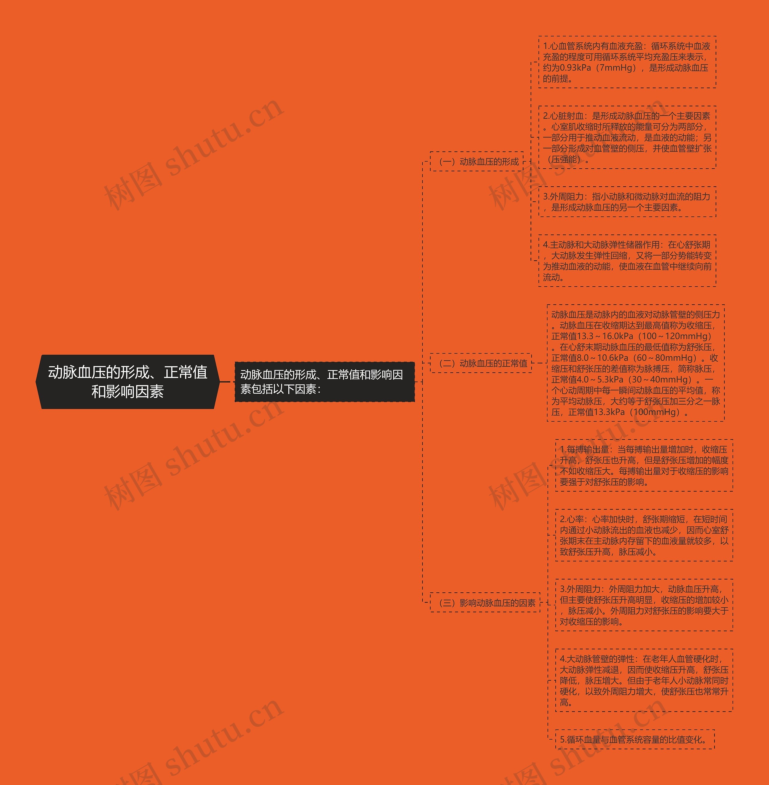 动脉血压的形成、正常值和影响因素思维导图