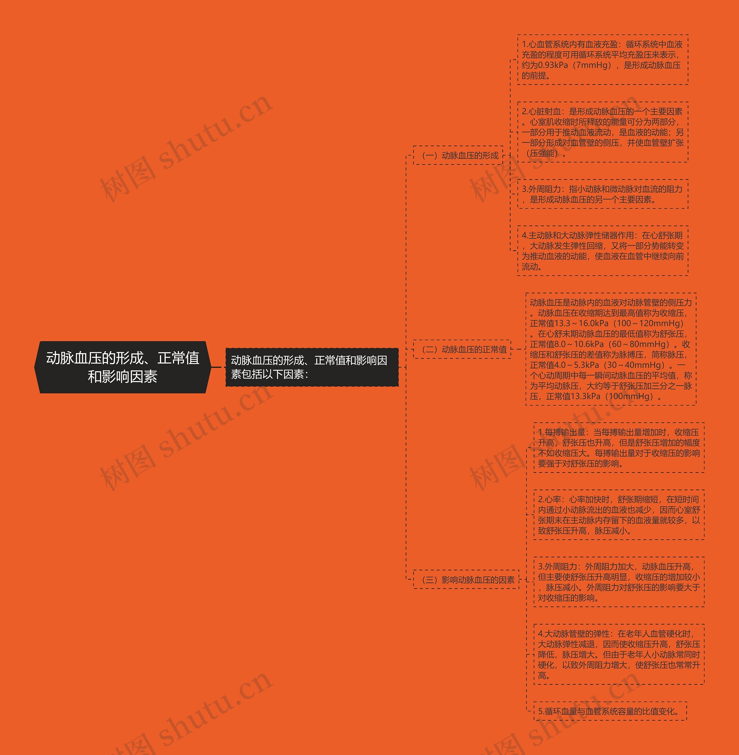 动脉血压的形成、正常值和影响因素 动脉血压的形成、正常值和影响因素