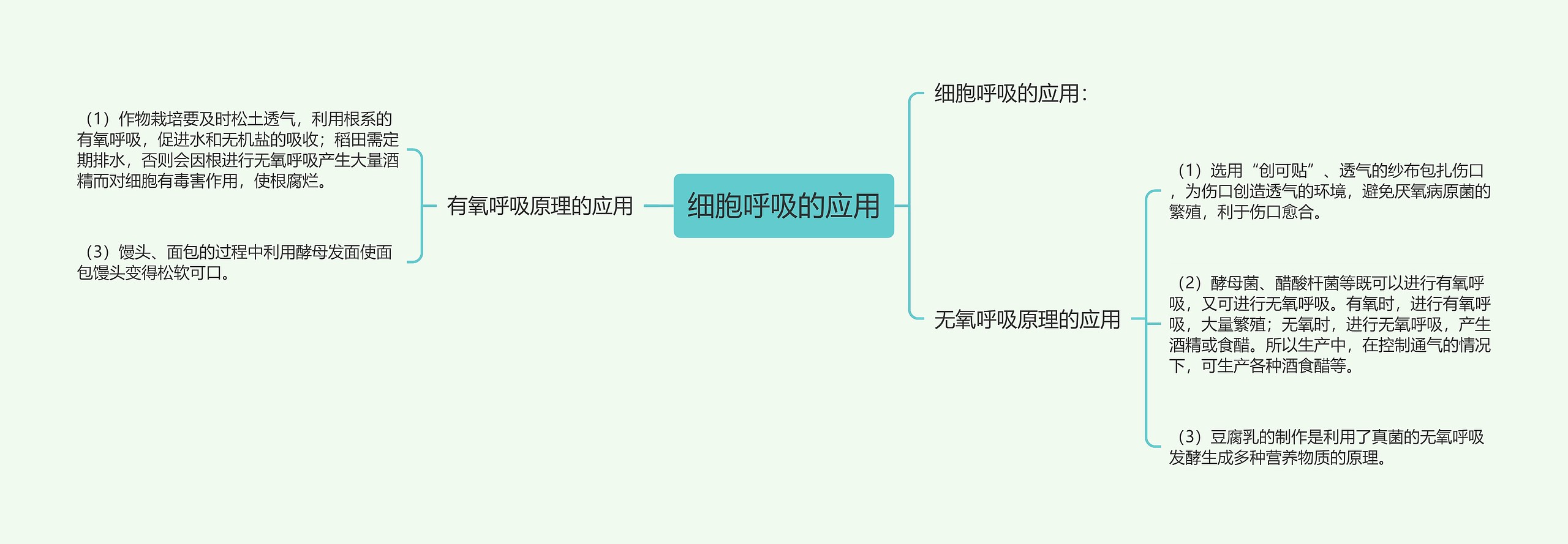 细胞呼吸的应用思维导图