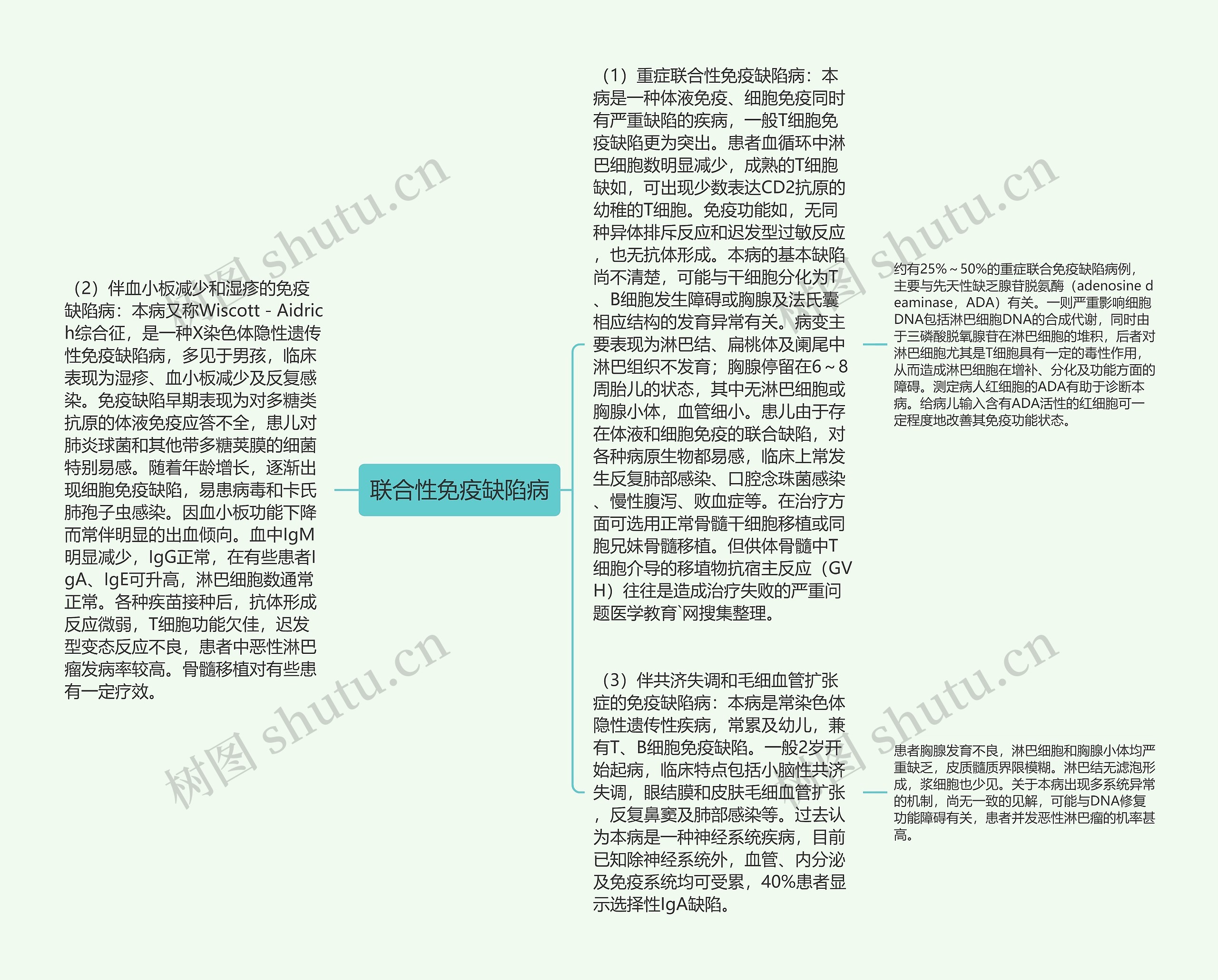 联合性免疫缺陷病思维导图