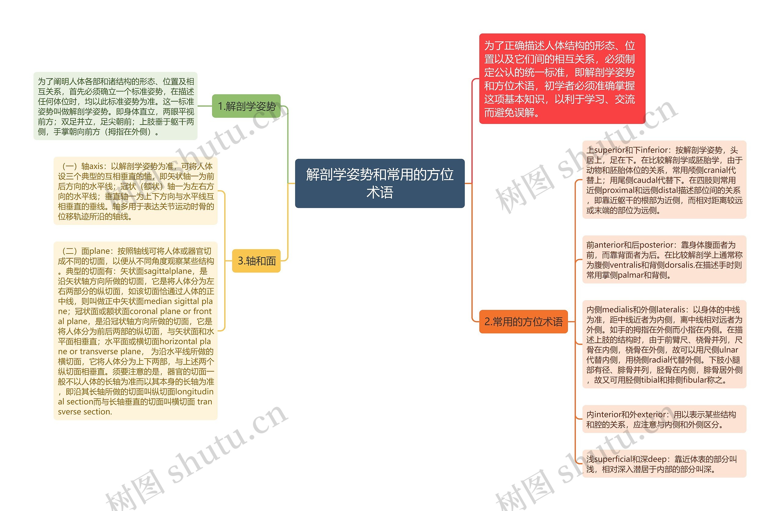 解剖学姿势和常用的方位术语思维导图