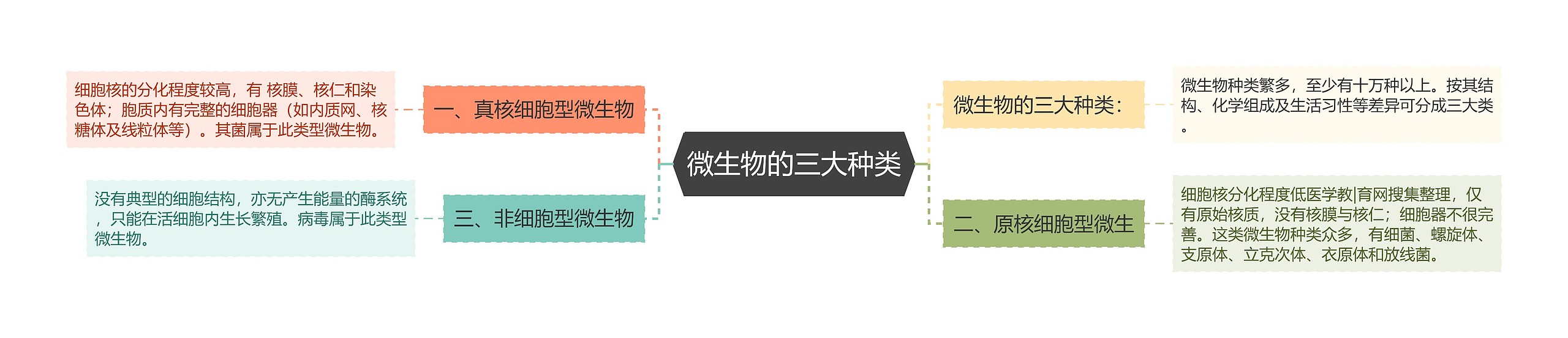 微生物的三大种类 微生物的三大种类