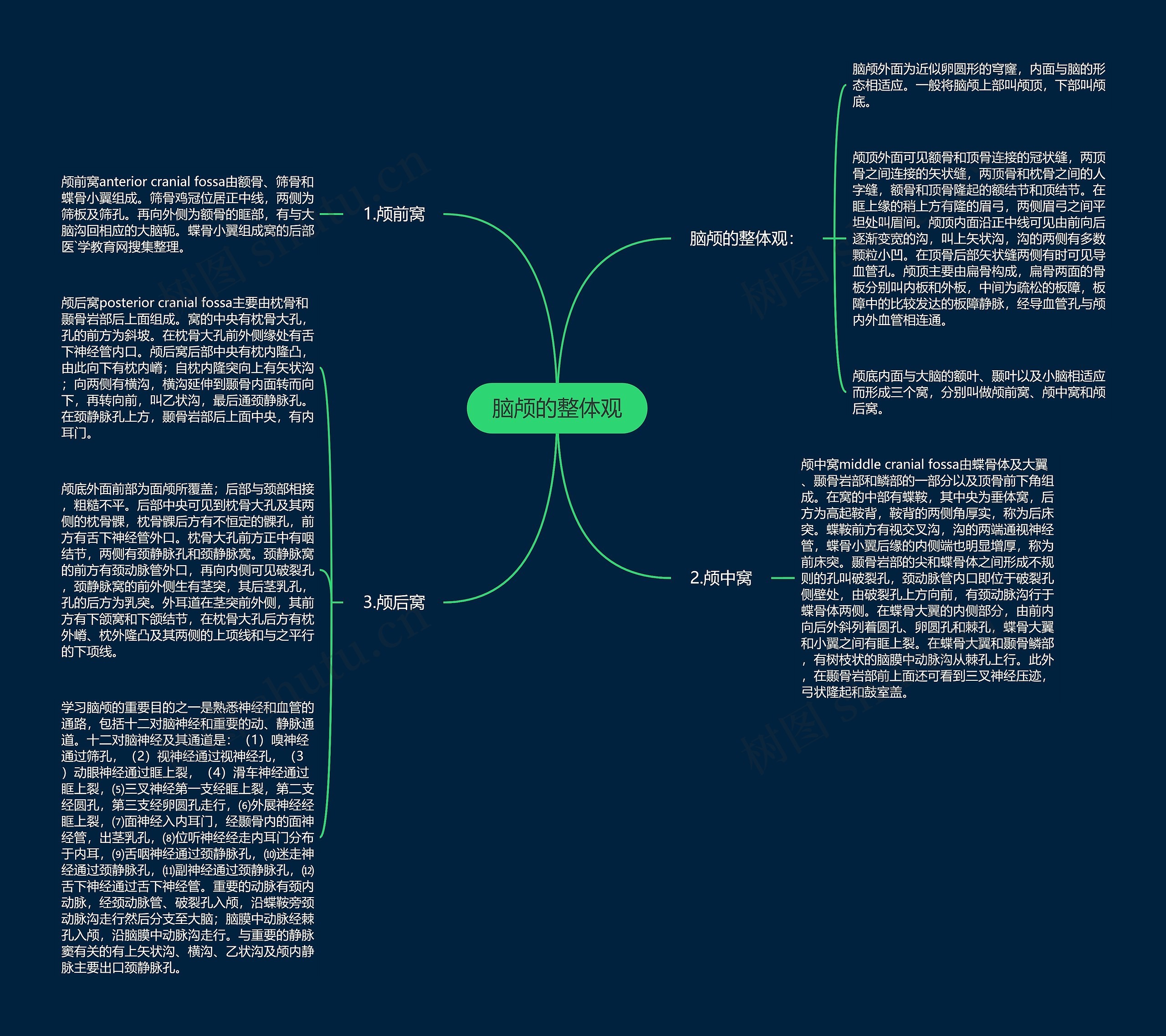 脑颅的整体观思维导图