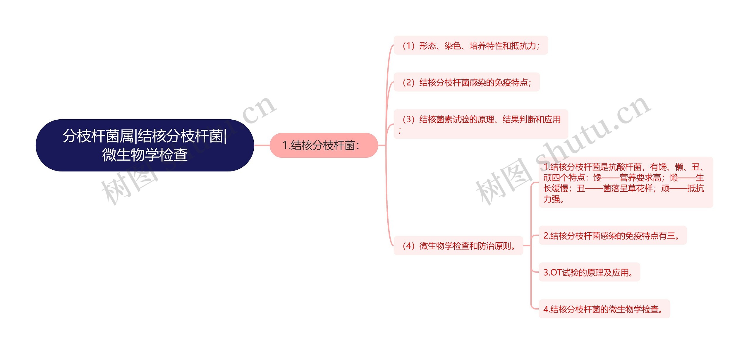 分枝杆菌属|结核分枝杆菌|微生物学检查思维导图