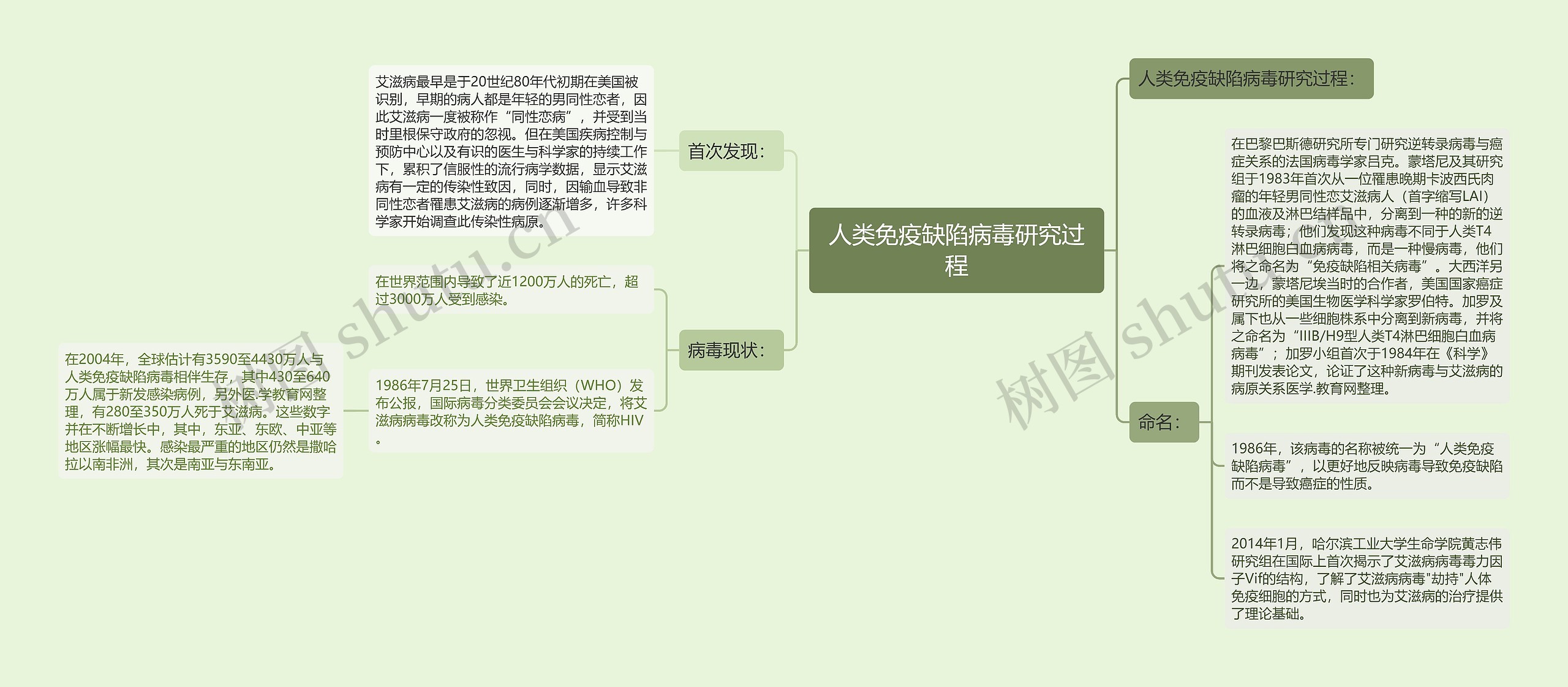 人类免疫缺陷病毒研究过程思维导图