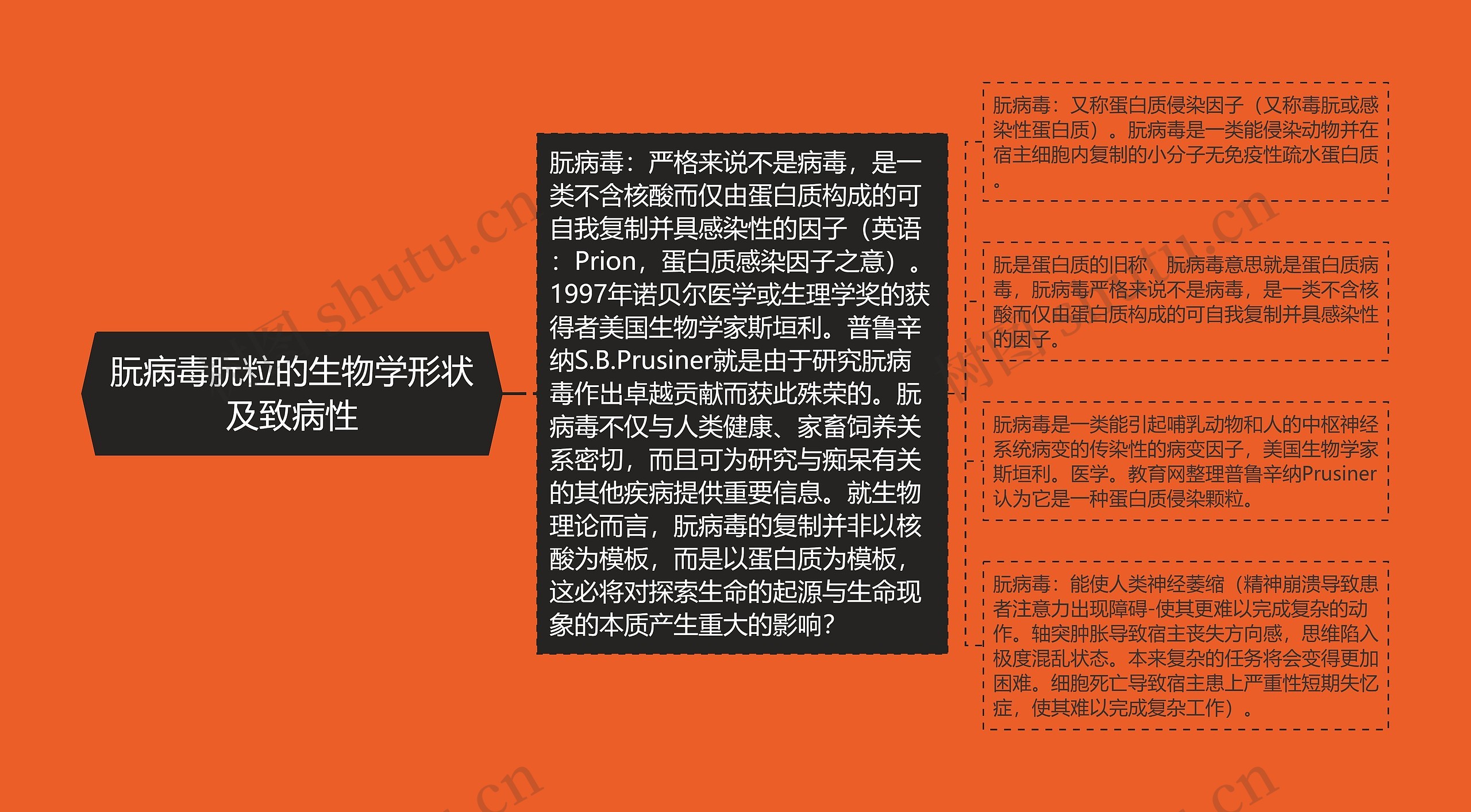 朊病毒朊粒的生物学形状及致病性 朊病毒朊粒的生物学形状及致病性