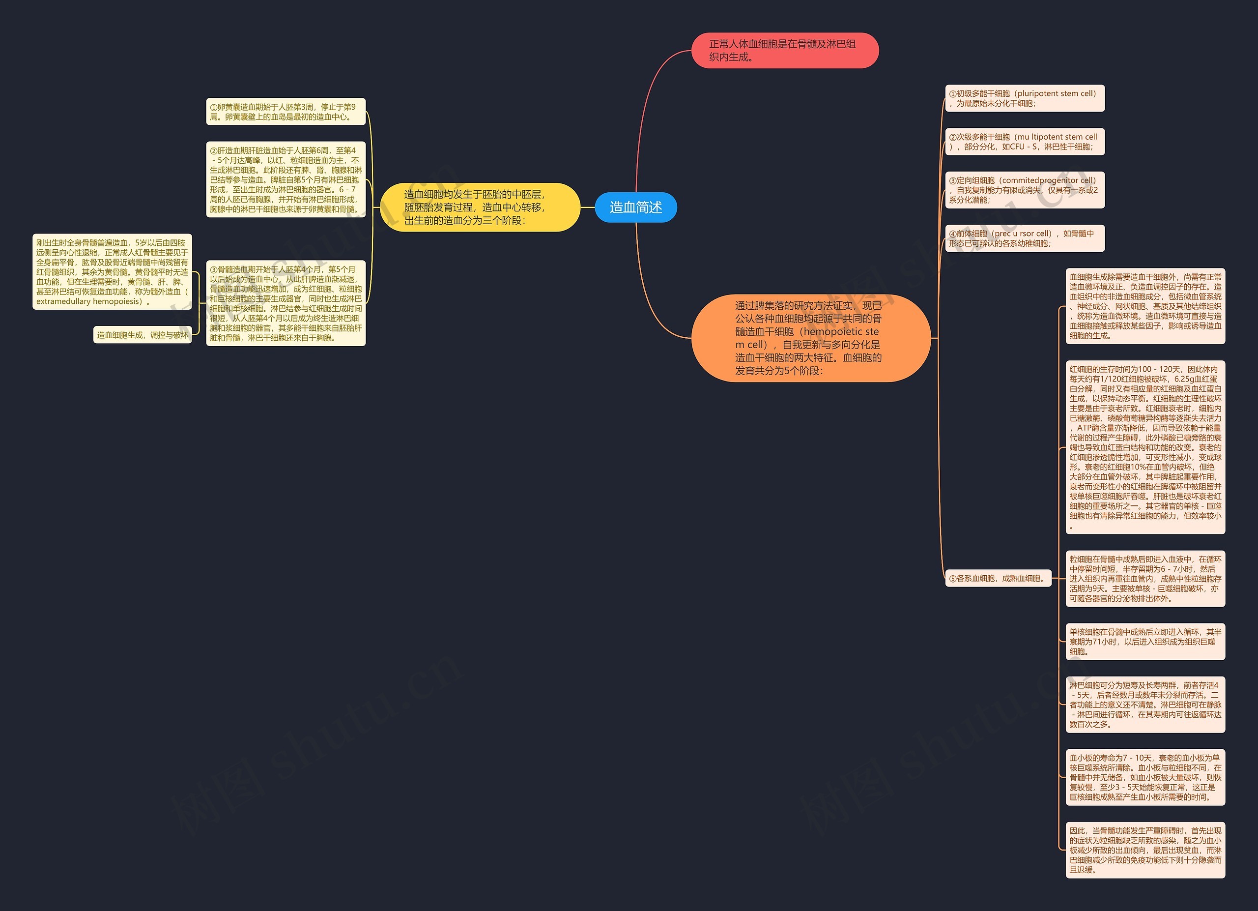 造血简述思维导图