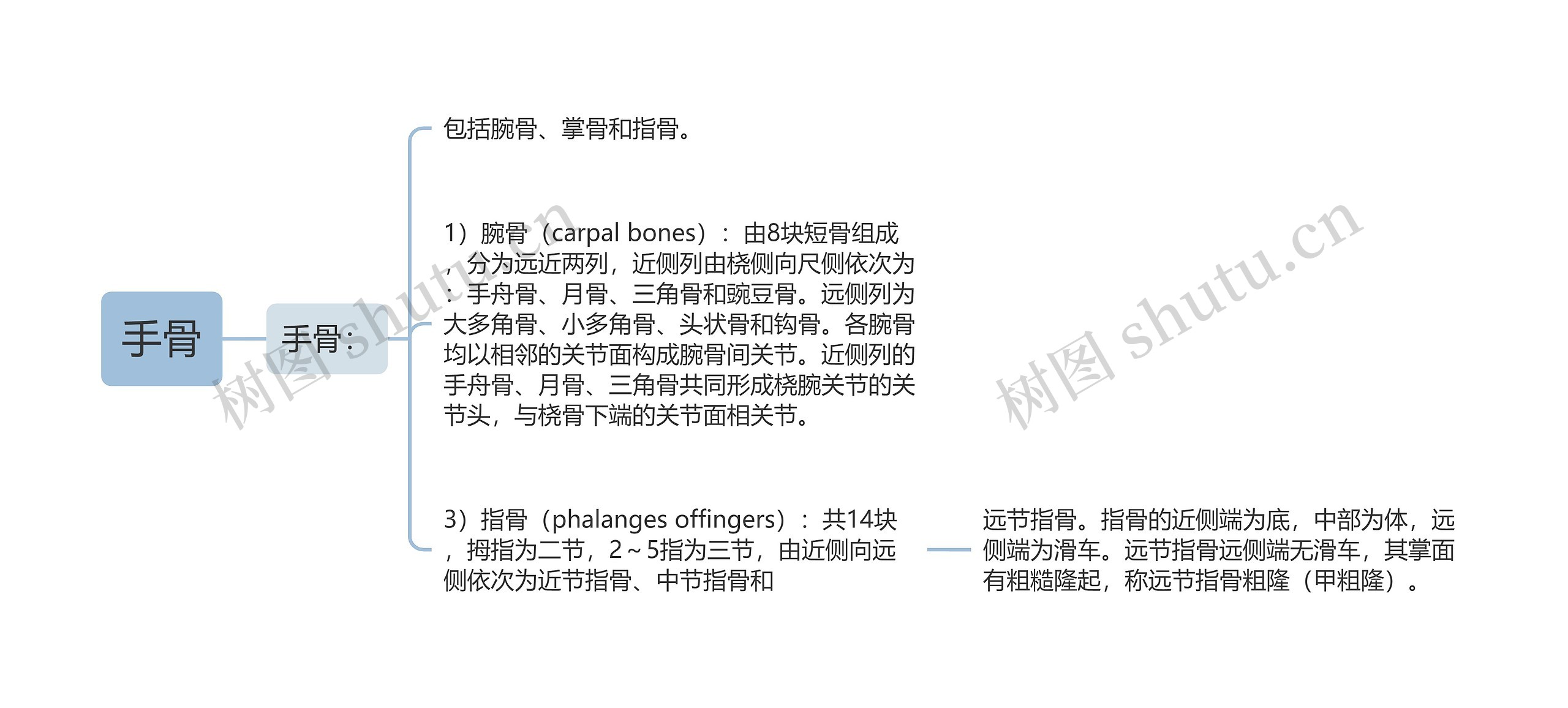 手骨 手骨