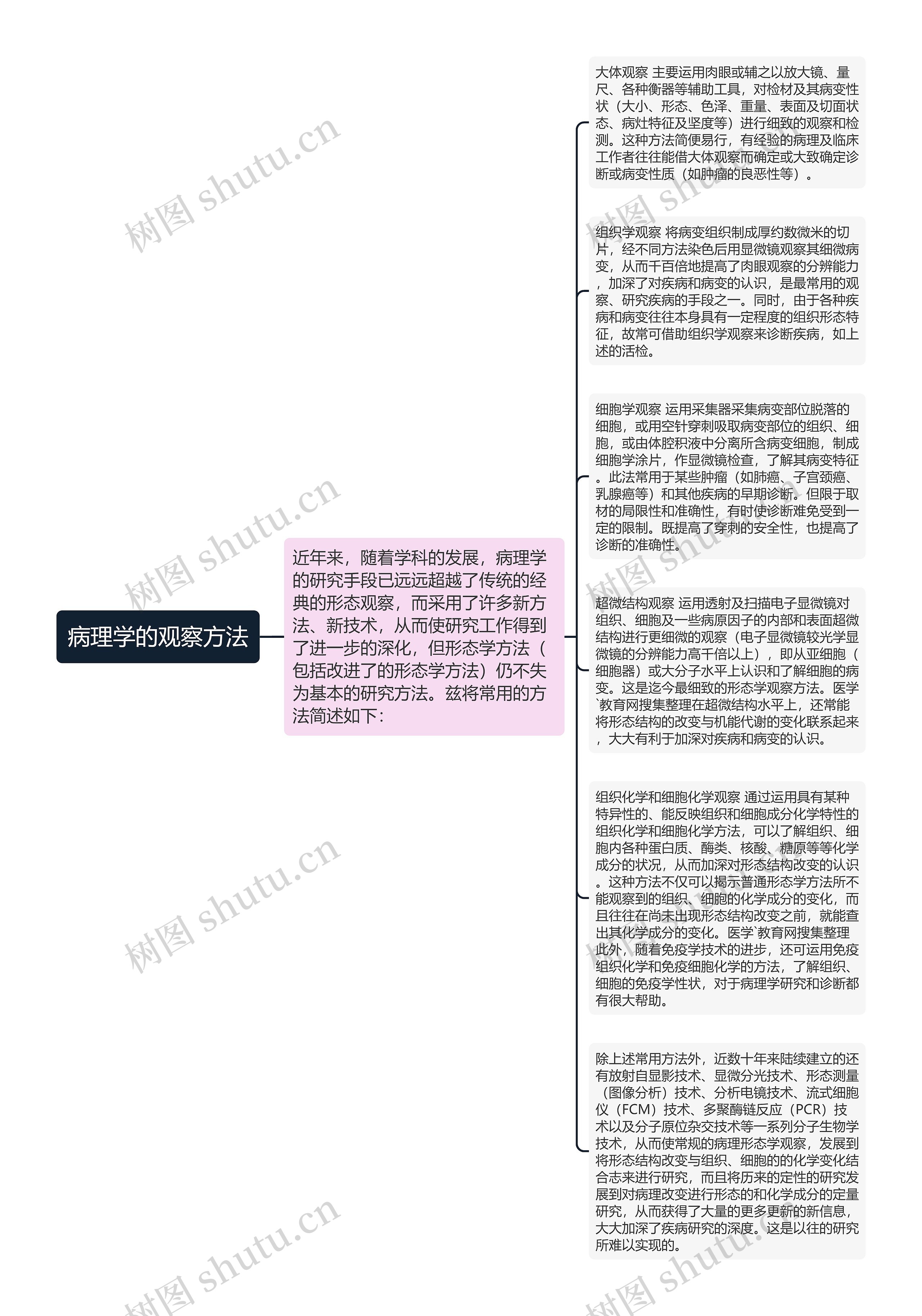 病理学的观察方法