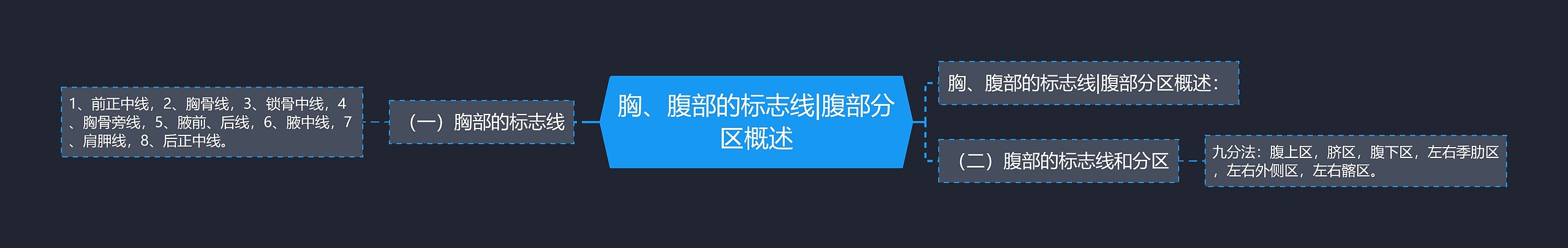 胸、腹部的标志线|腹部分区概述