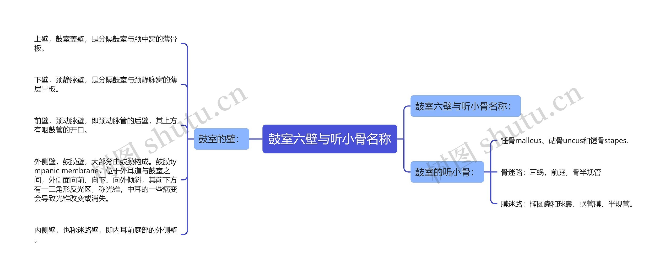 鼓室六壁与听小骨名称