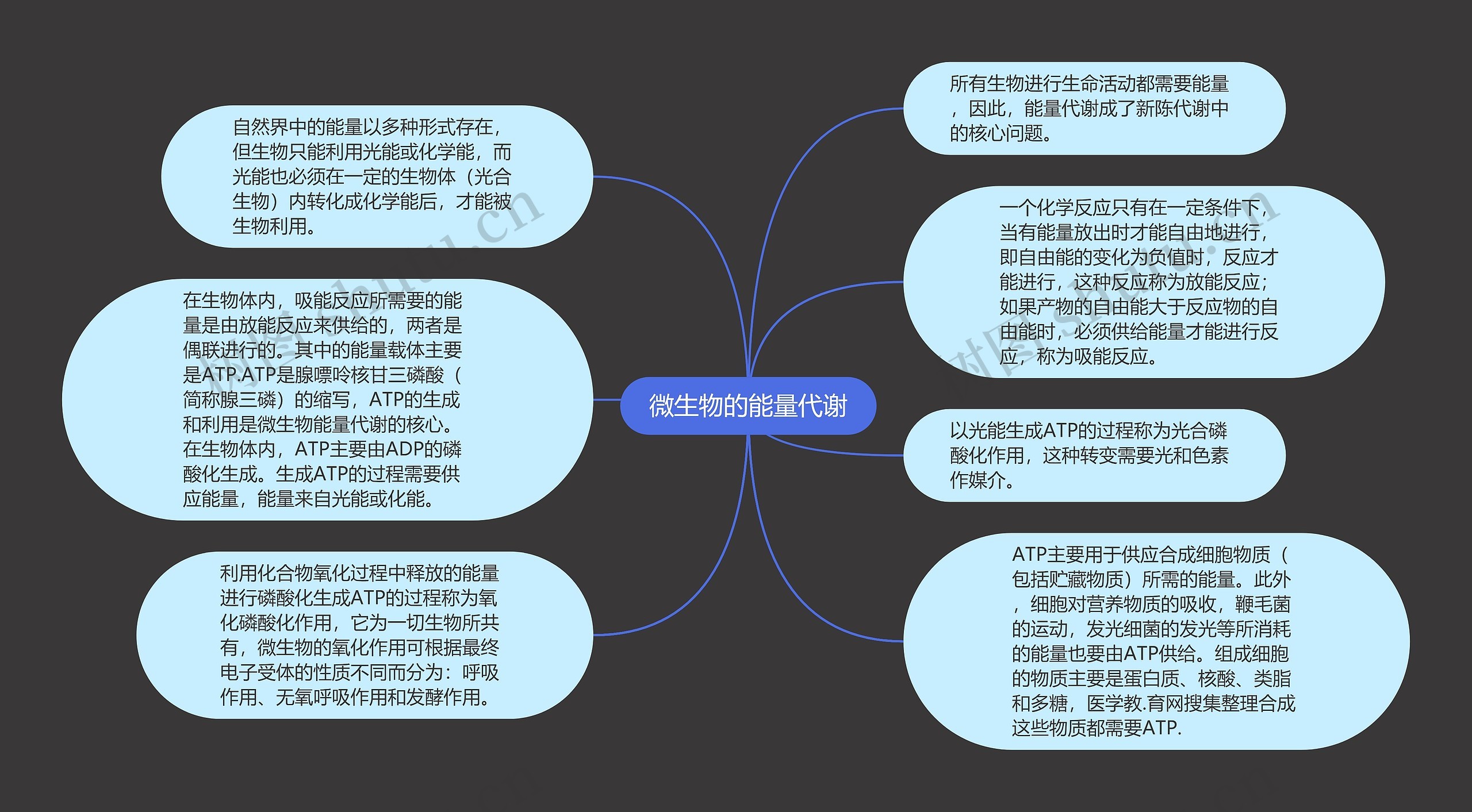 微生物的能量代谢
