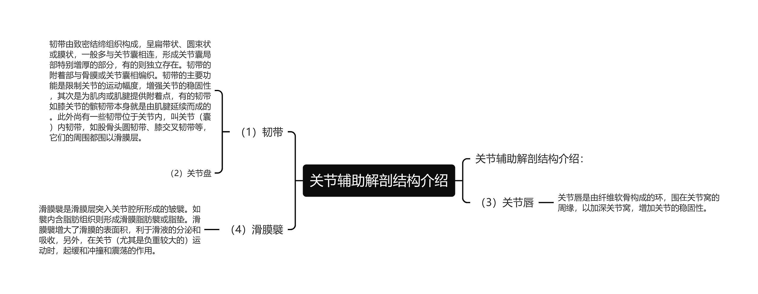 关节辅助解剖结构介绍