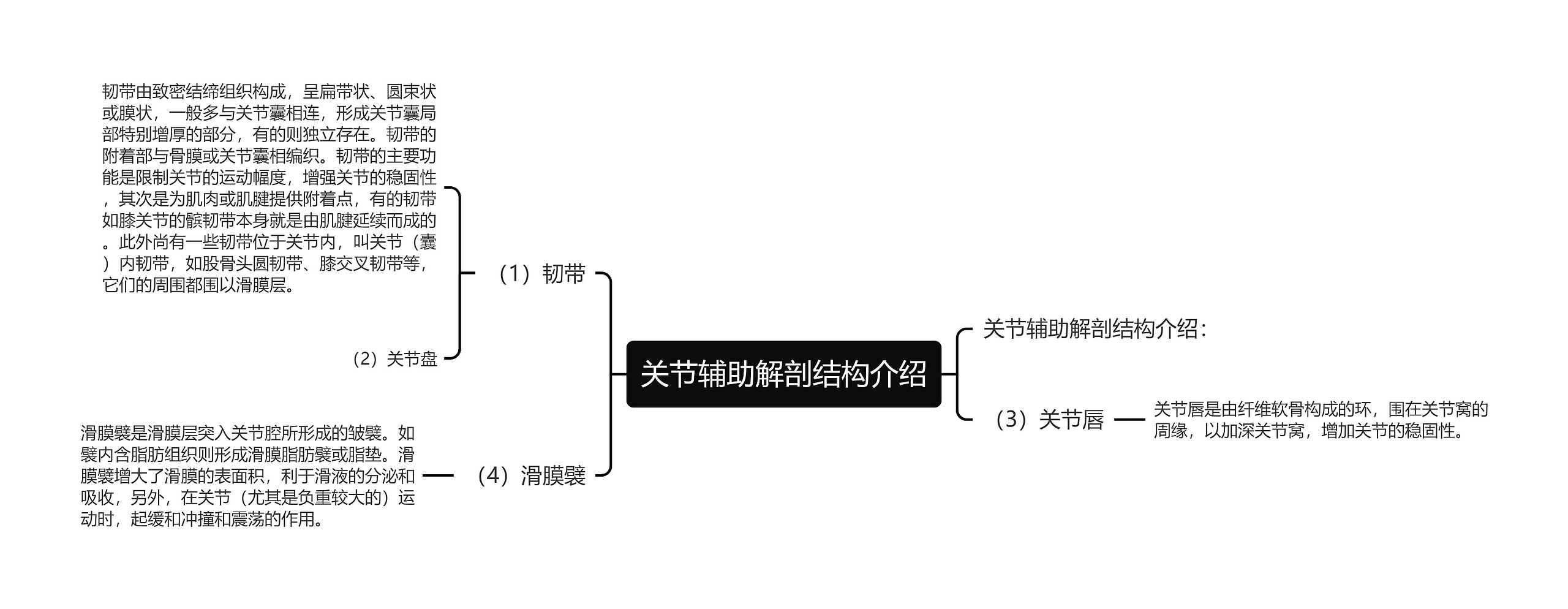 关节辅助解剖结构介绍思维导图