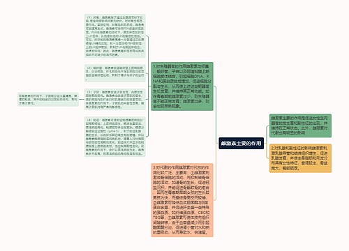 雌激素主要的作用