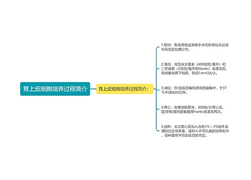 胃上皮细胞培养过程简介