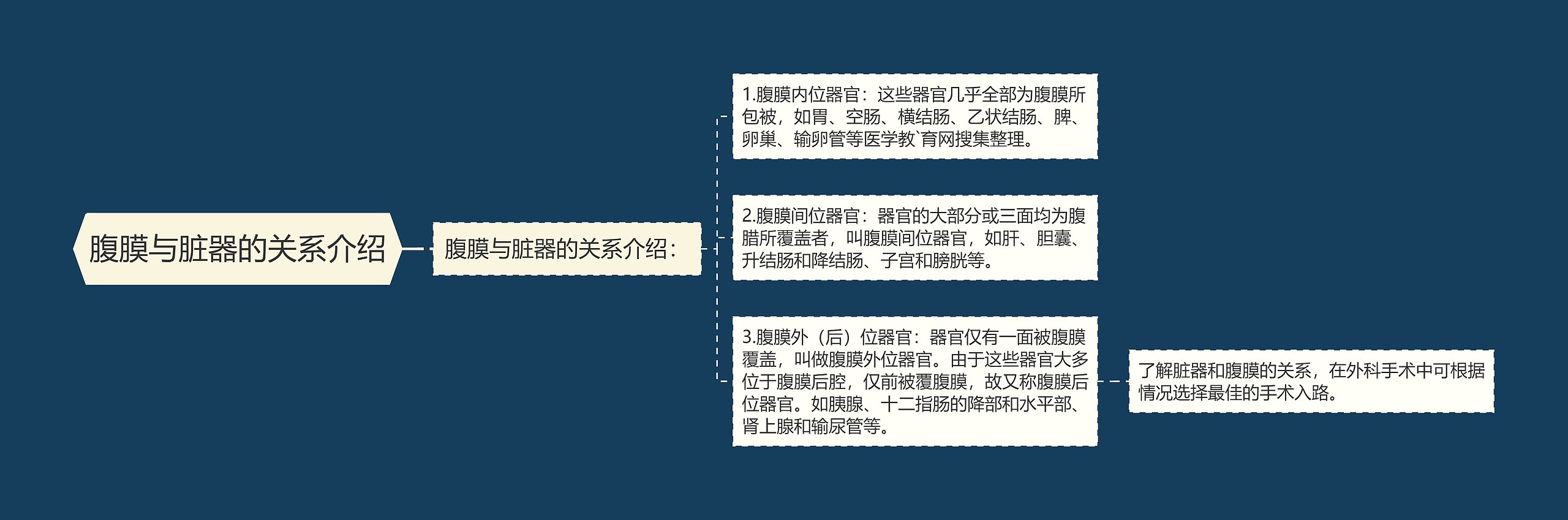 腹膜与脏器的关系介绍 腹膜与脏器的关系介绍