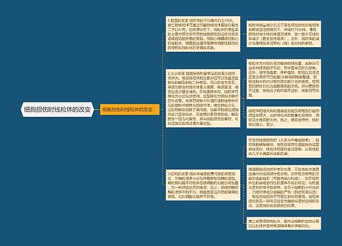 细胞损伤时线粒体的改变