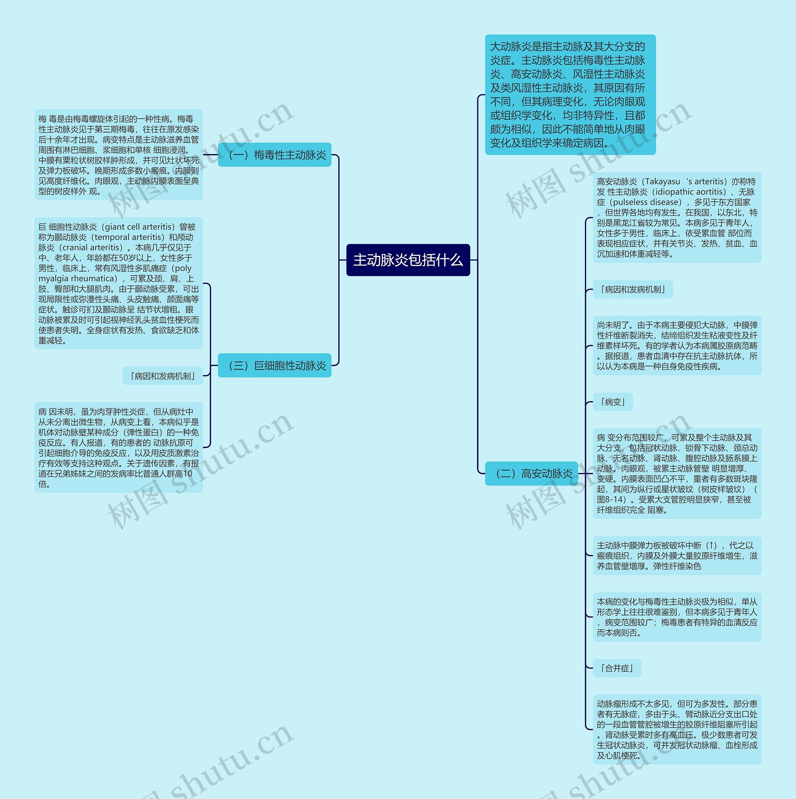 主动脉炎包括什么思维导图