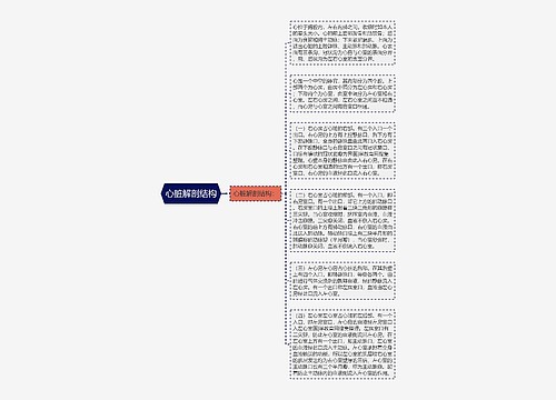 心脏解剖结构