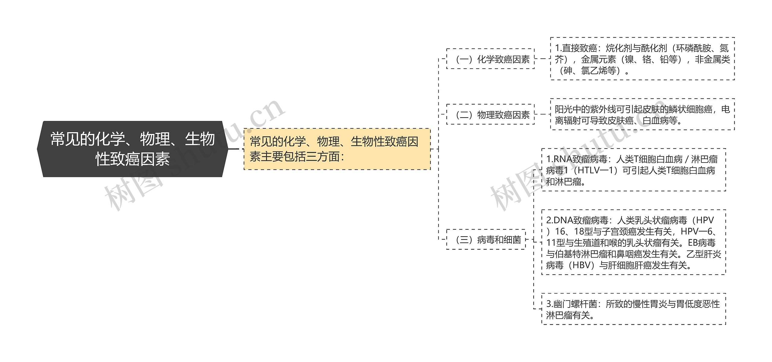 常见的化学、物理、生物性致癌因素思维导图