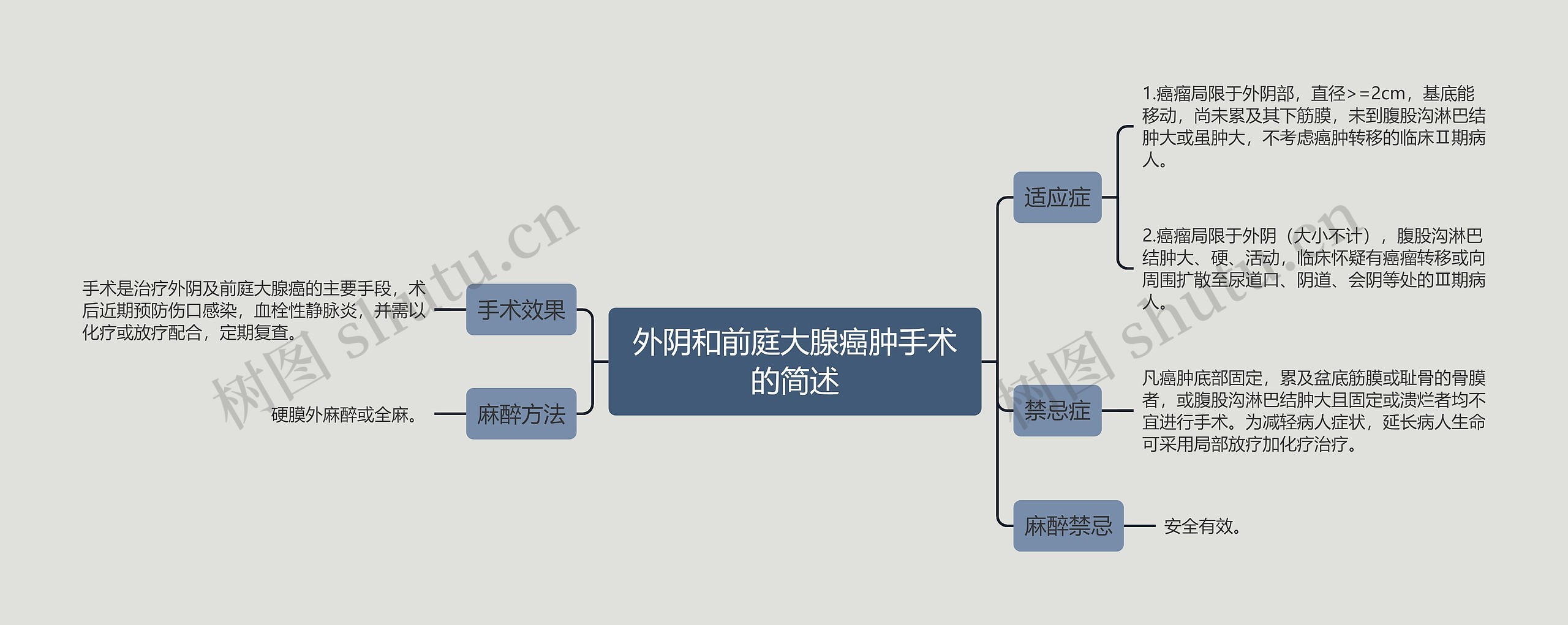 外阴和前庭大腺癌肿手术的简述思维导图